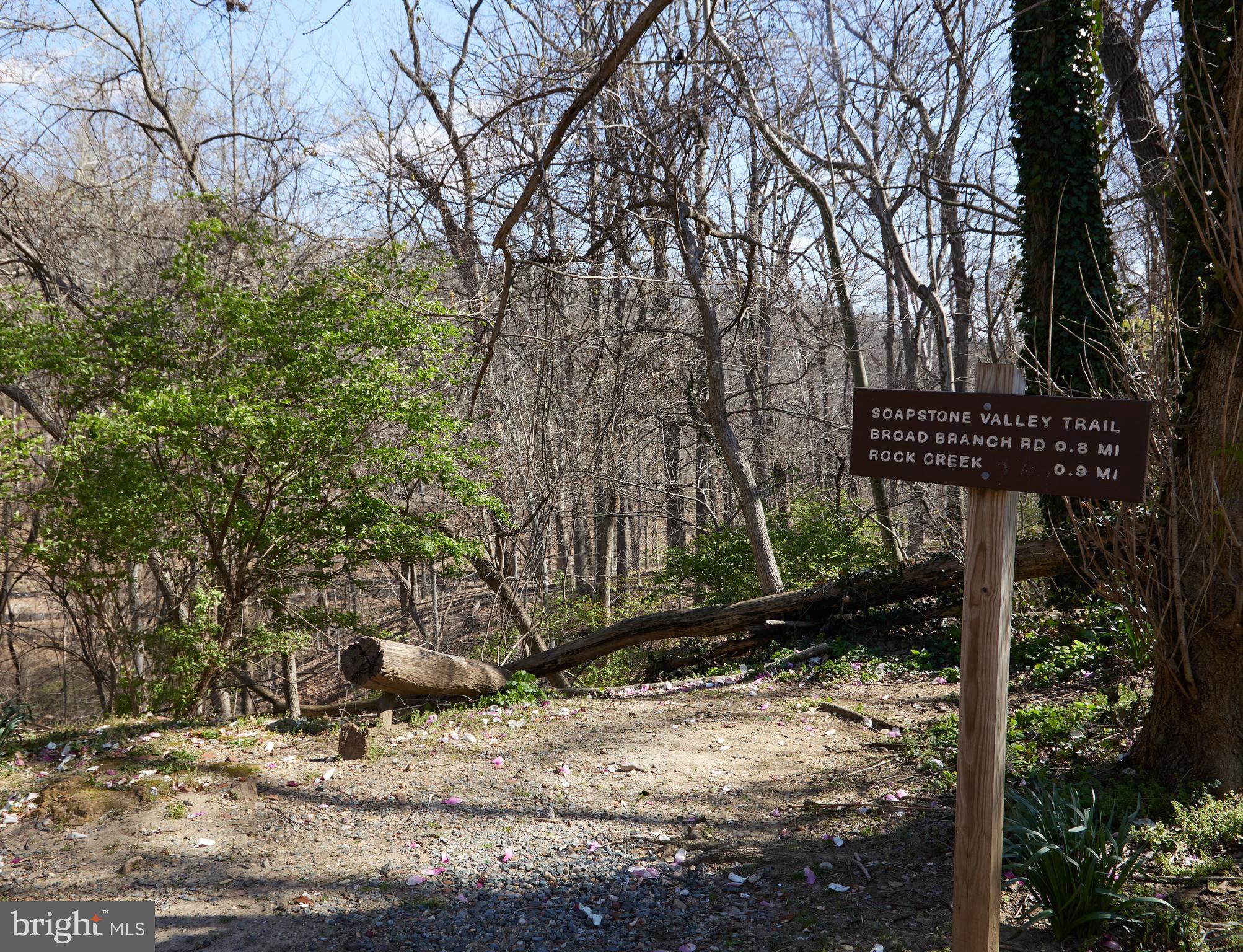 FOREST HILLS - Residential