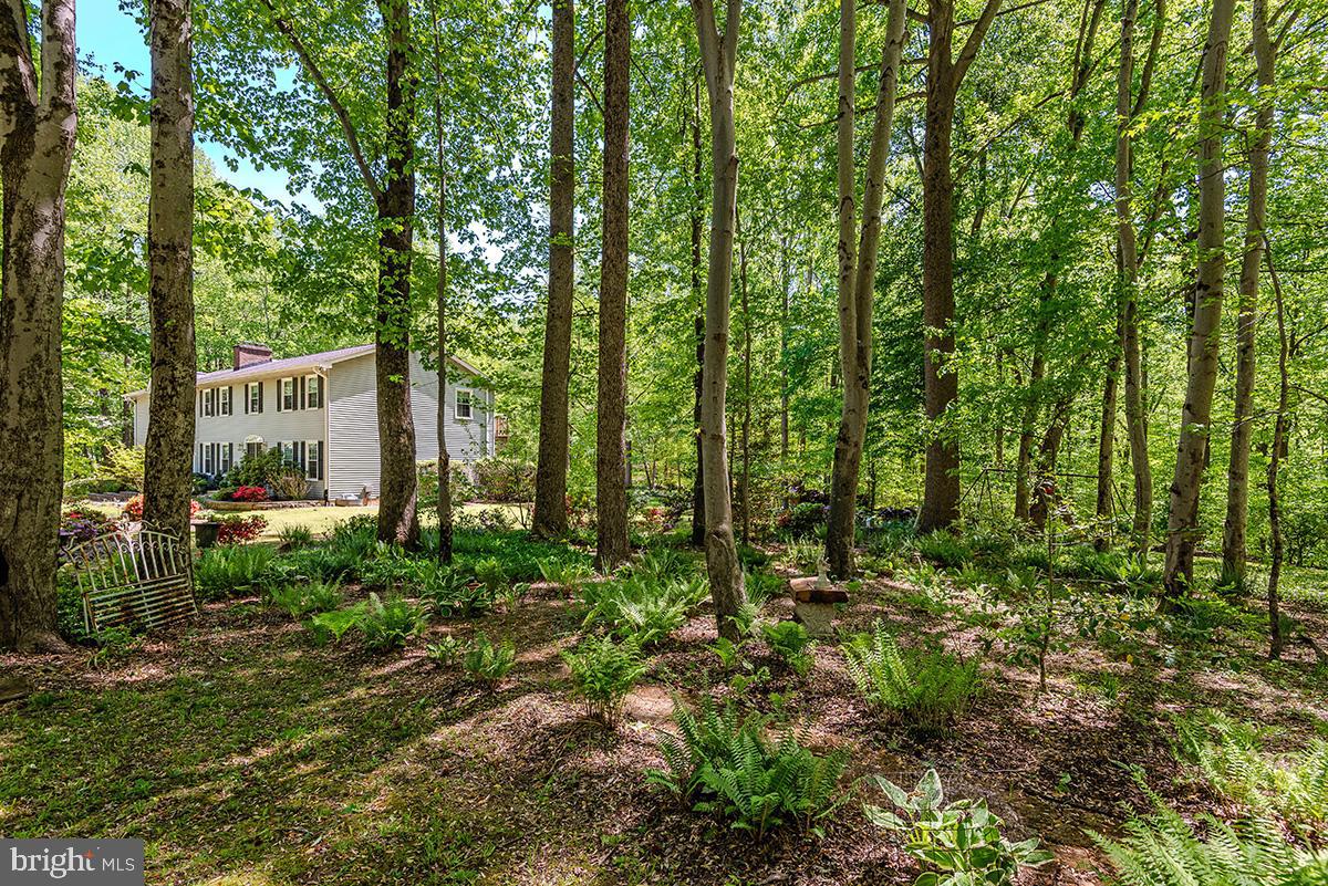 QUEEN ANNE ESTATES - Residential
