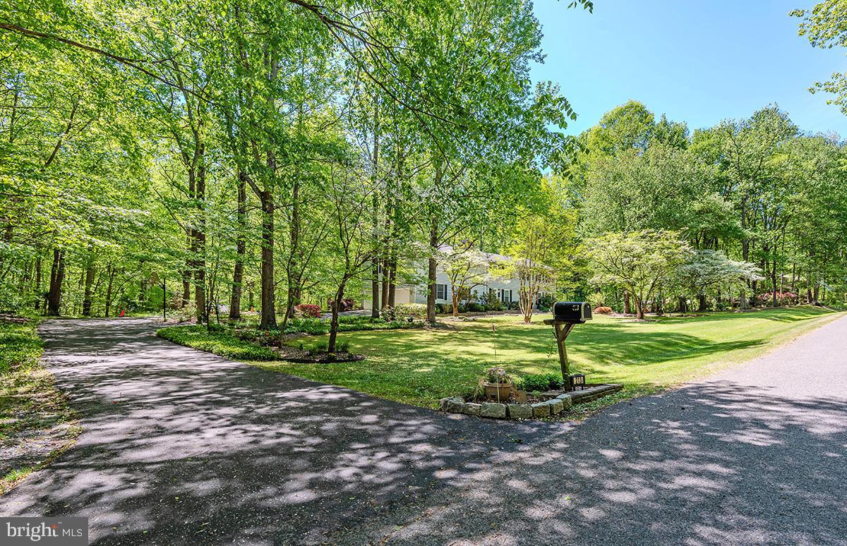 QUEEN ANNE ESTATES - Residential