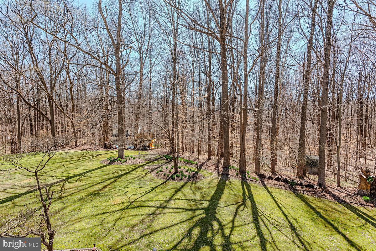 QUEEN ANNE ESTATES - Residential