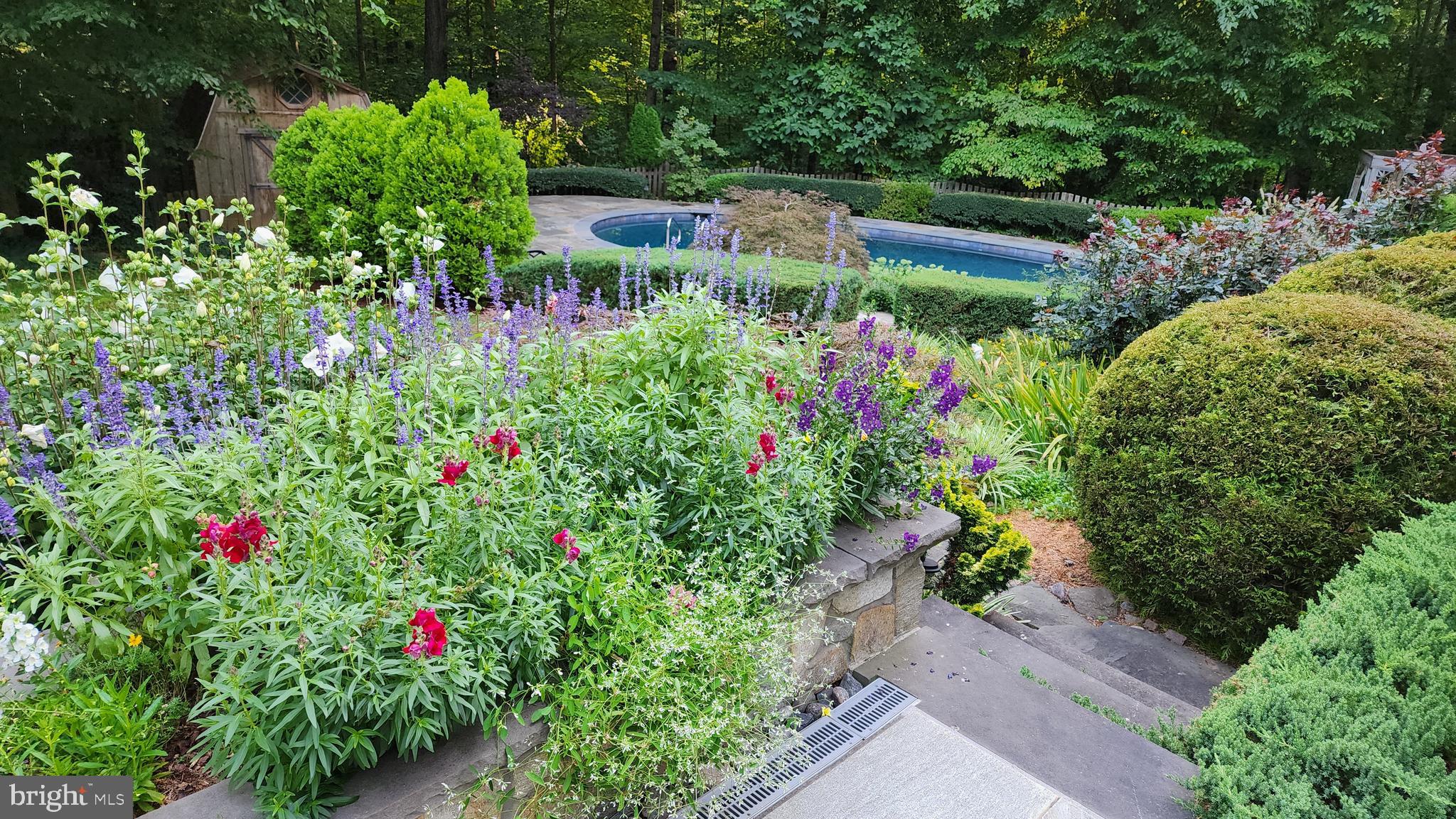 THE PATTERNS - Residential