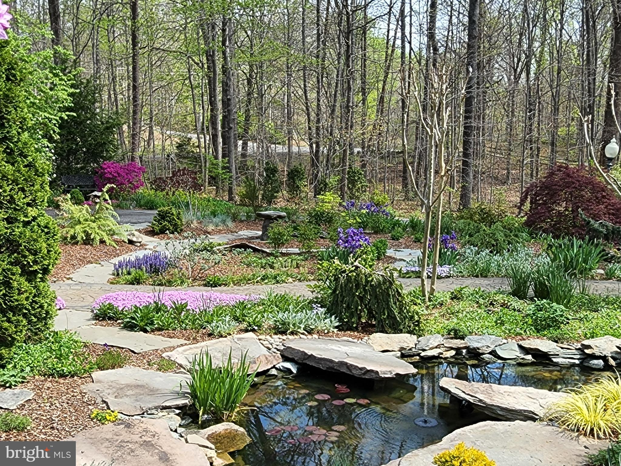 THE PATTERNS - Residential