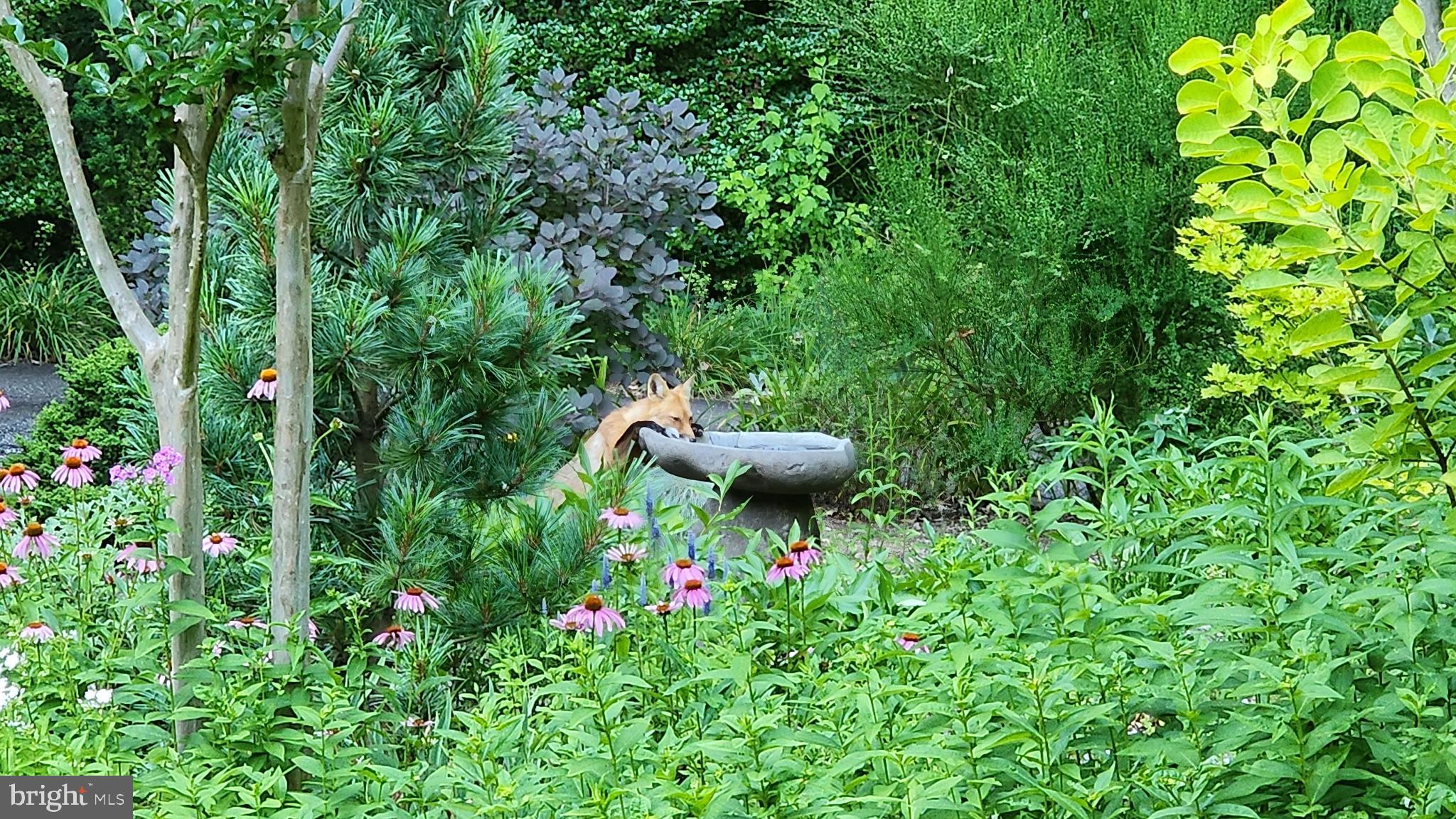 THE PATTERNS - Residential