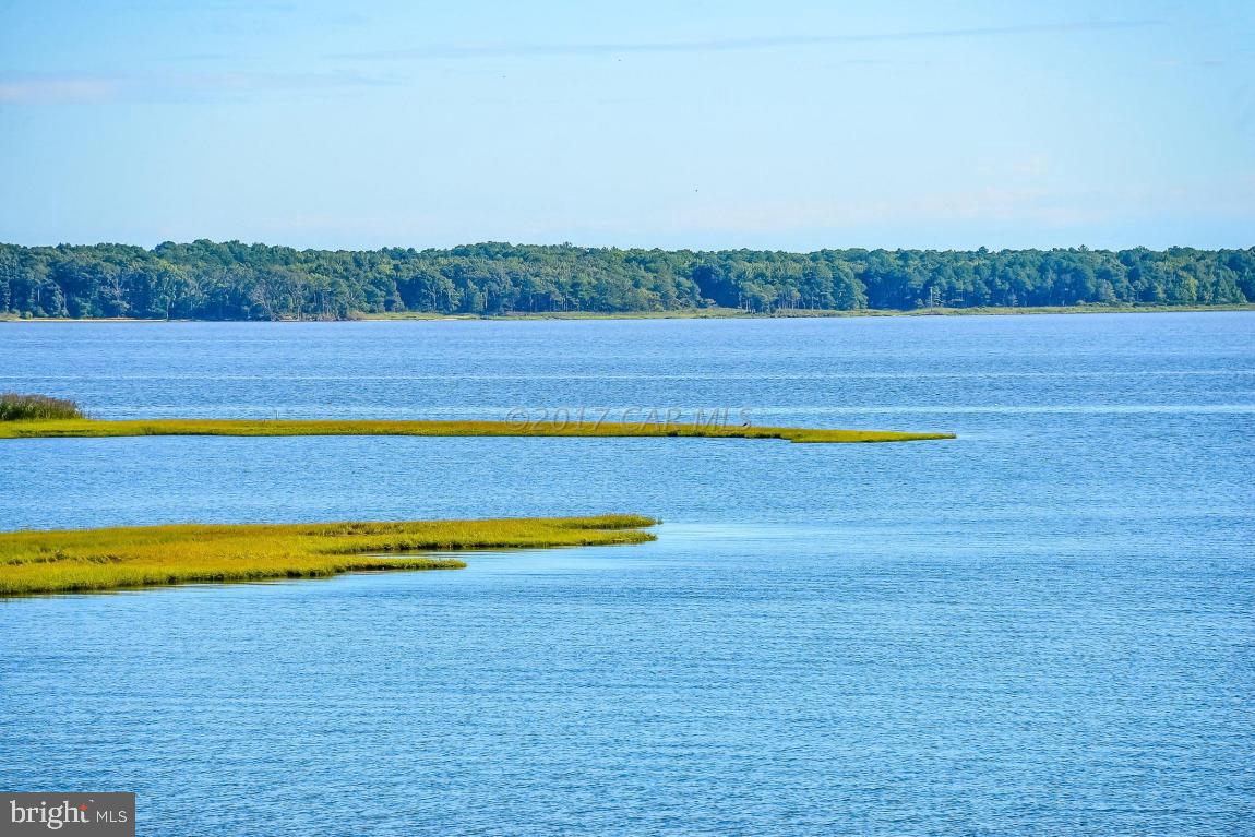 OCEAN PINES - THE POINT - Residential