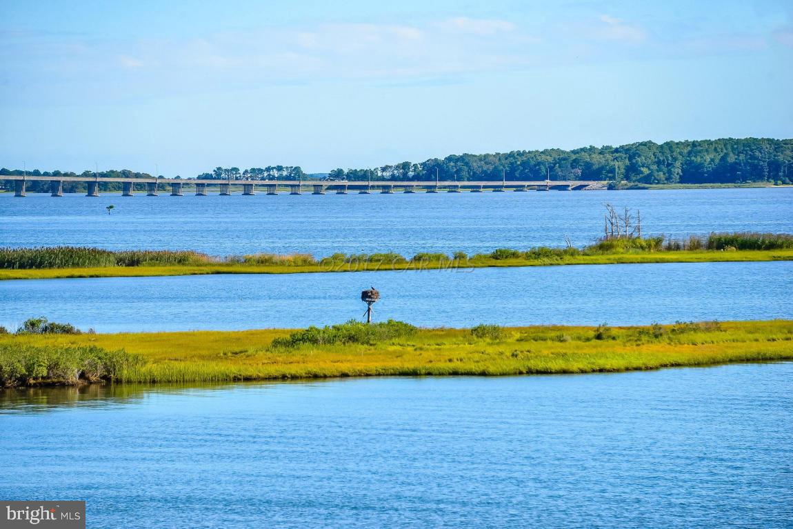 OCEAN PINES - THE POINT - Residential