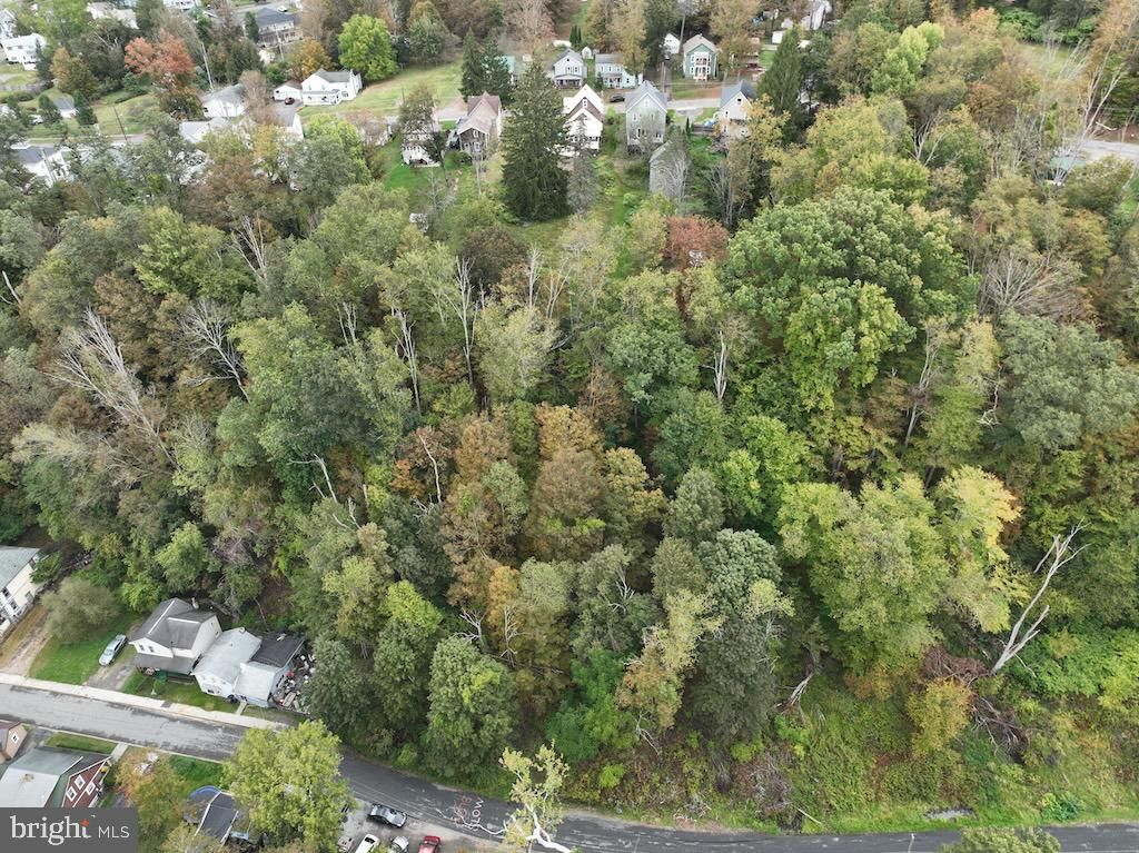 Photo of 00 Erie Avenue, SUSQUEHANNA, PA 18847 (MLS # PASU2000138)