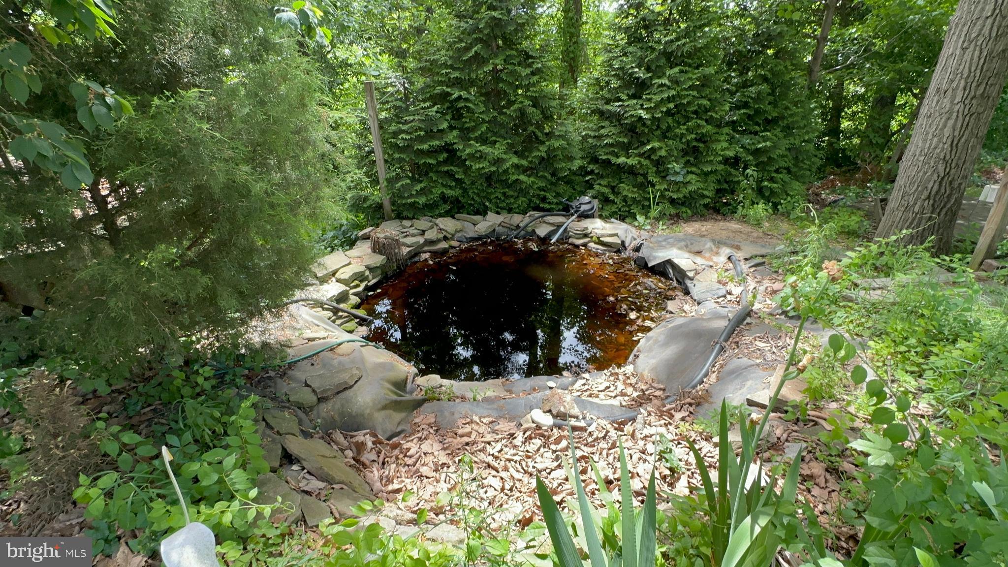 FOSTER BRANCH - Residential