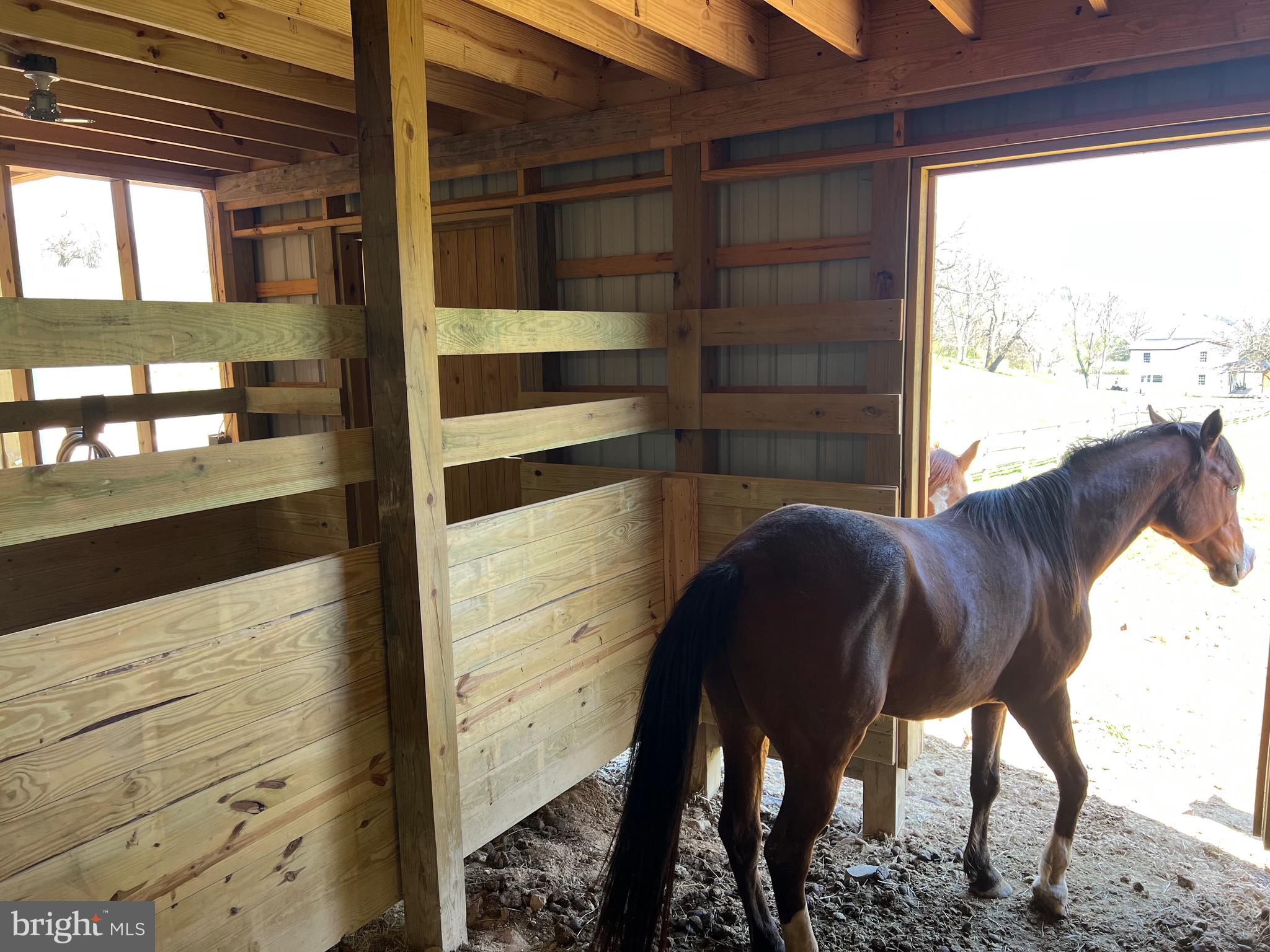 NONE UNRESTRICTED - Farm