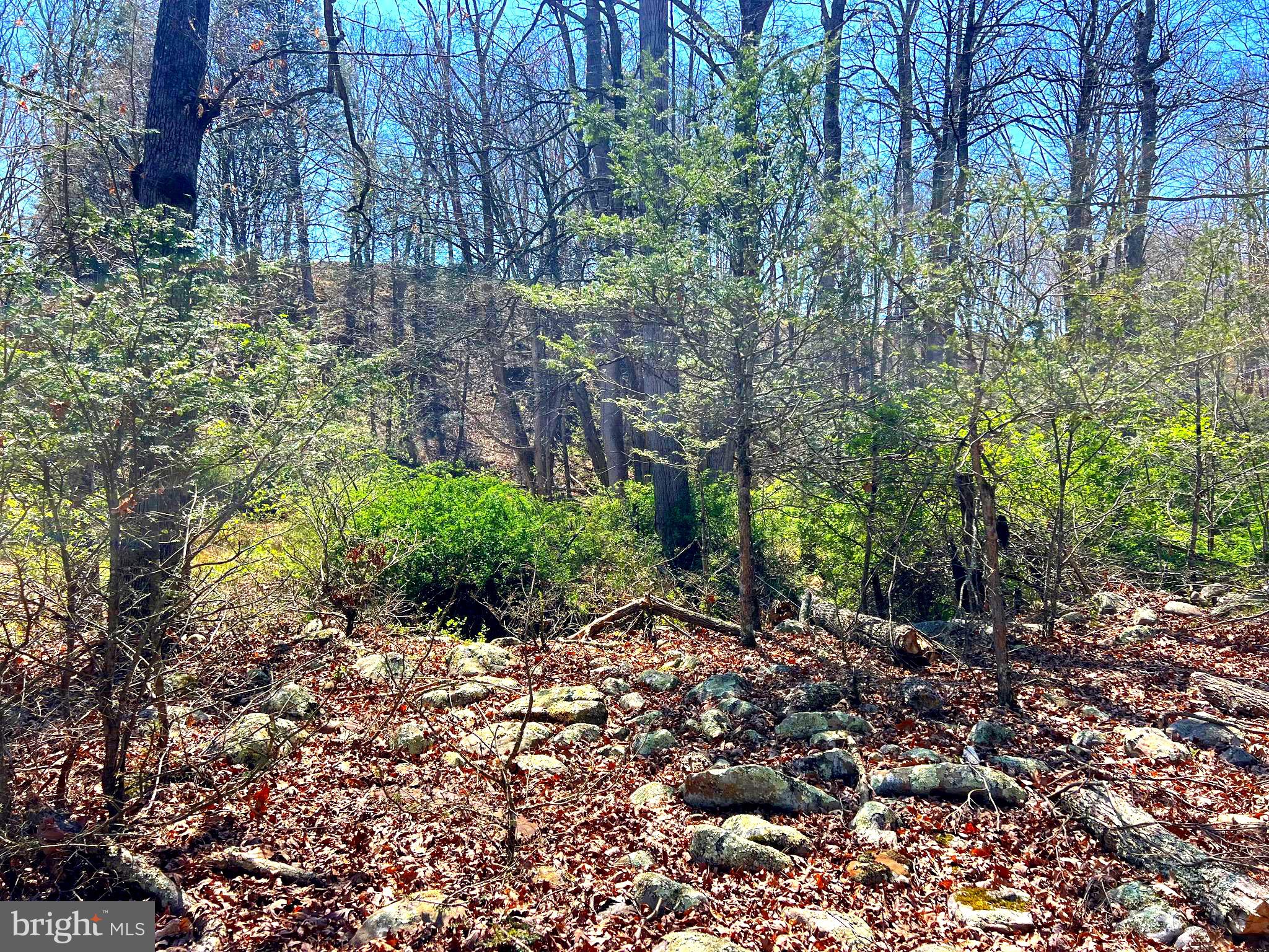 NONE UNRESTRICTED - Farm