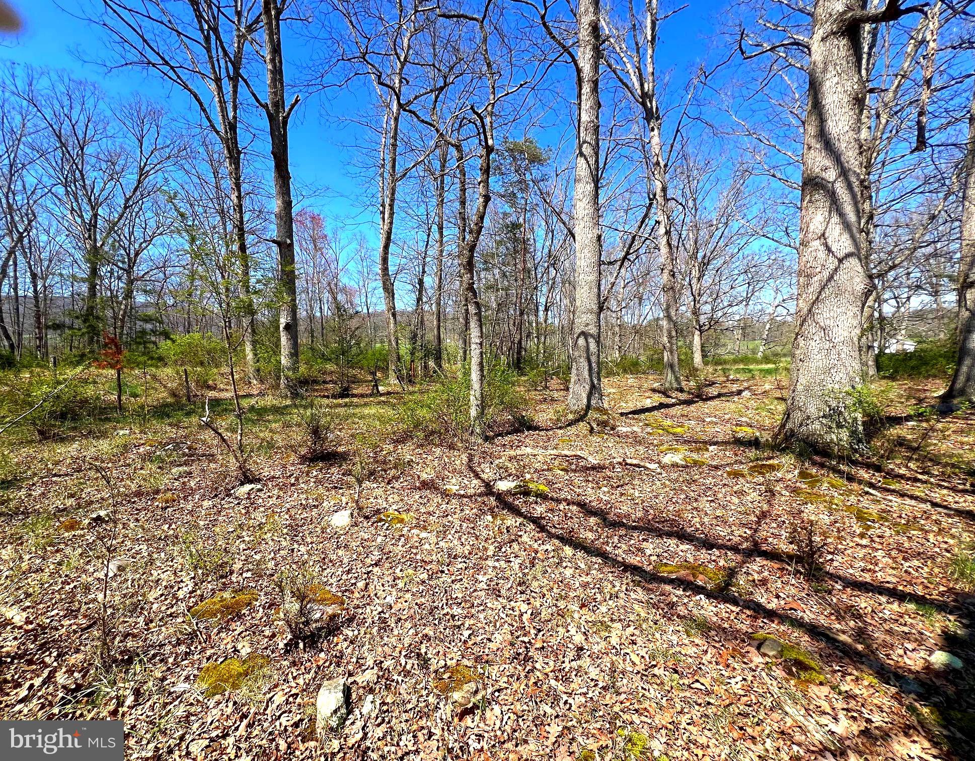 NONE UNRESTRICTED - Farm