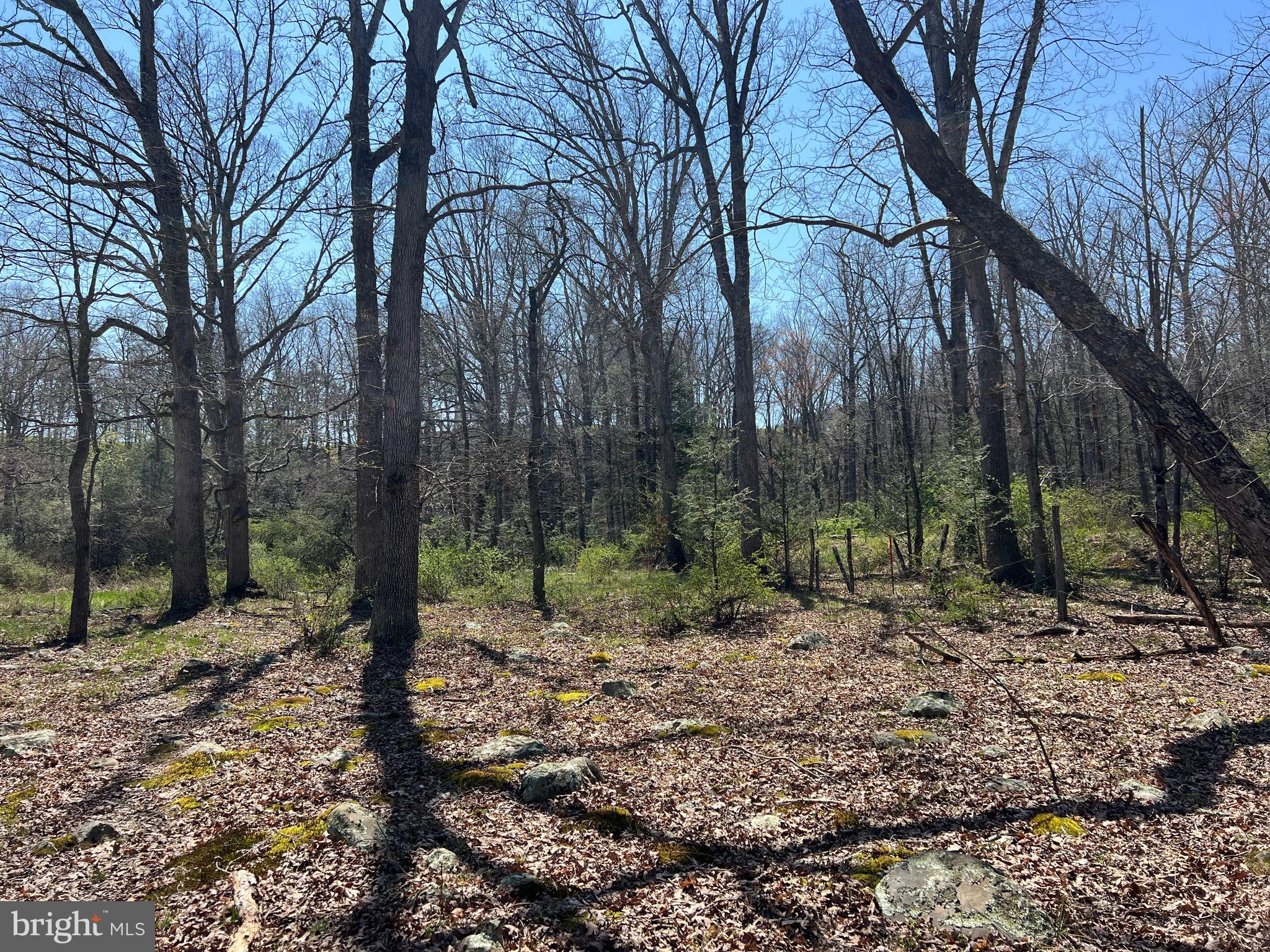 NONE UNRESTRICTED - Farm