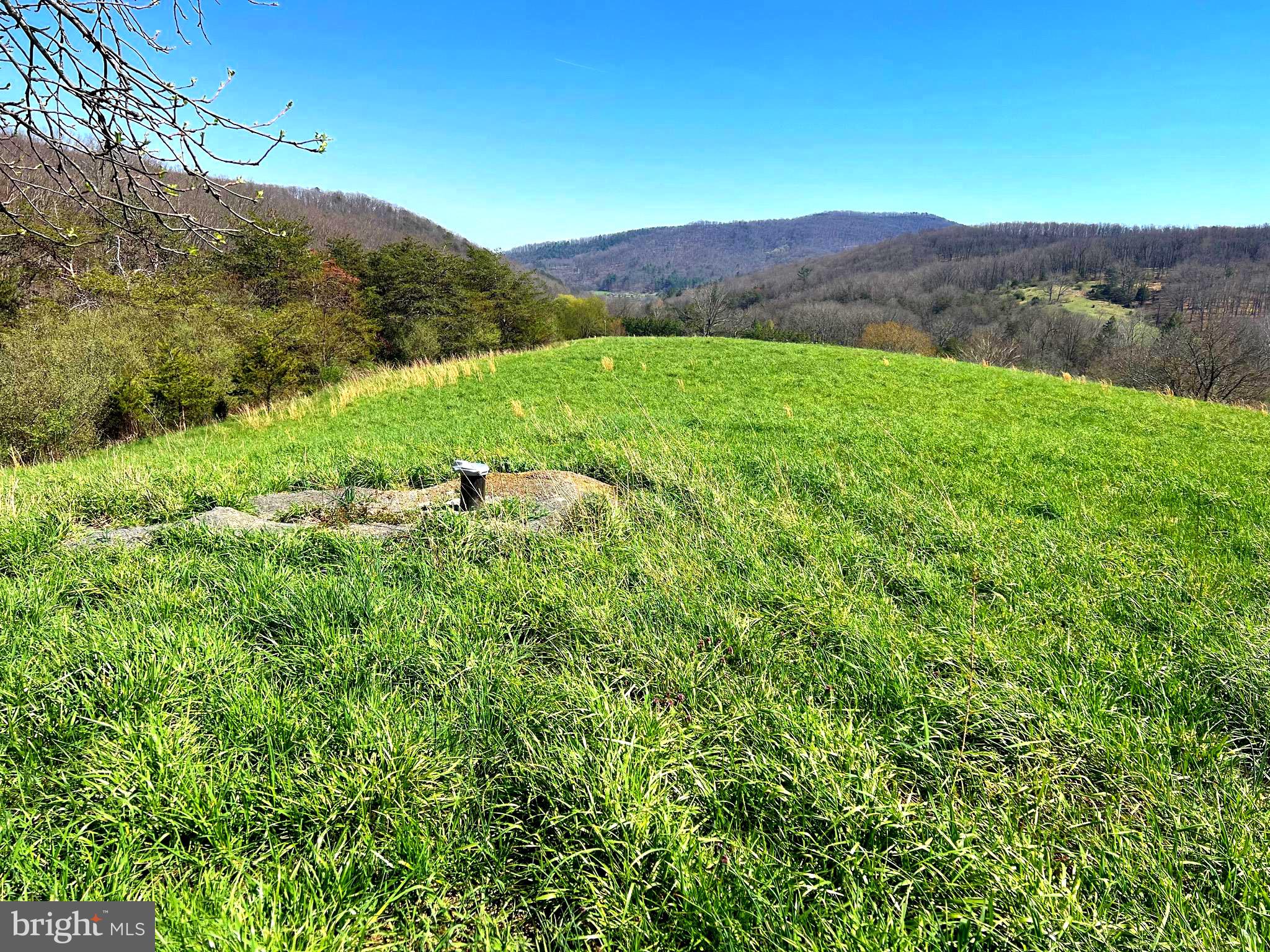 NONE UNRESTRICTED - Farm