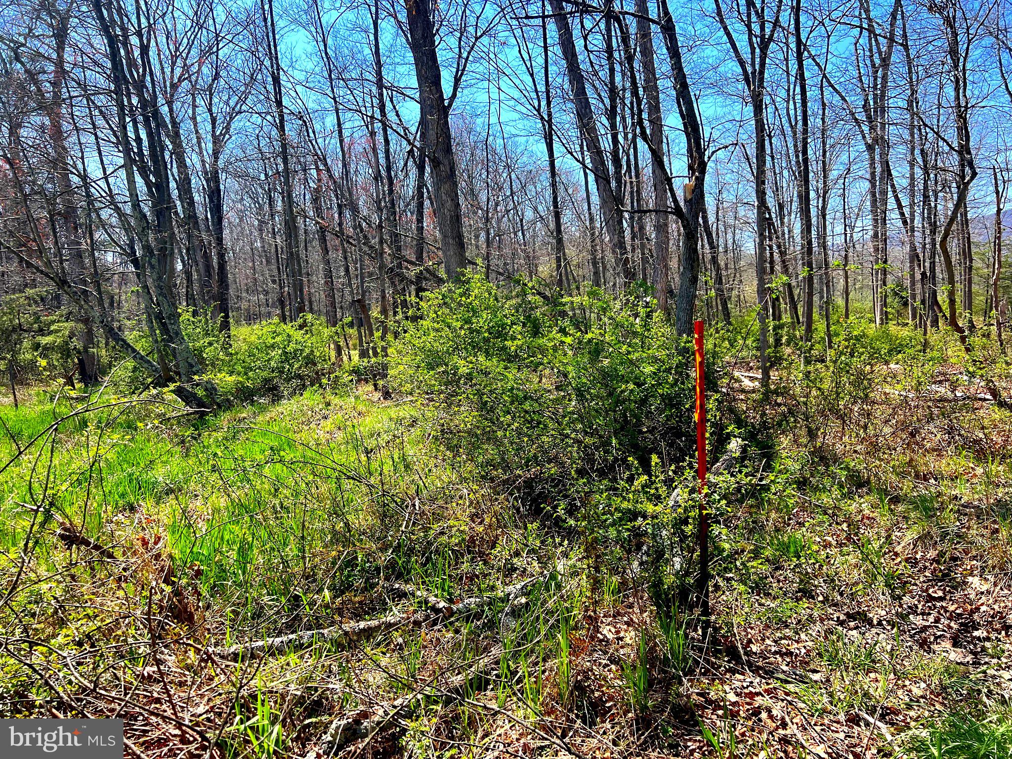 NONE UNRESTRICTED - Farm