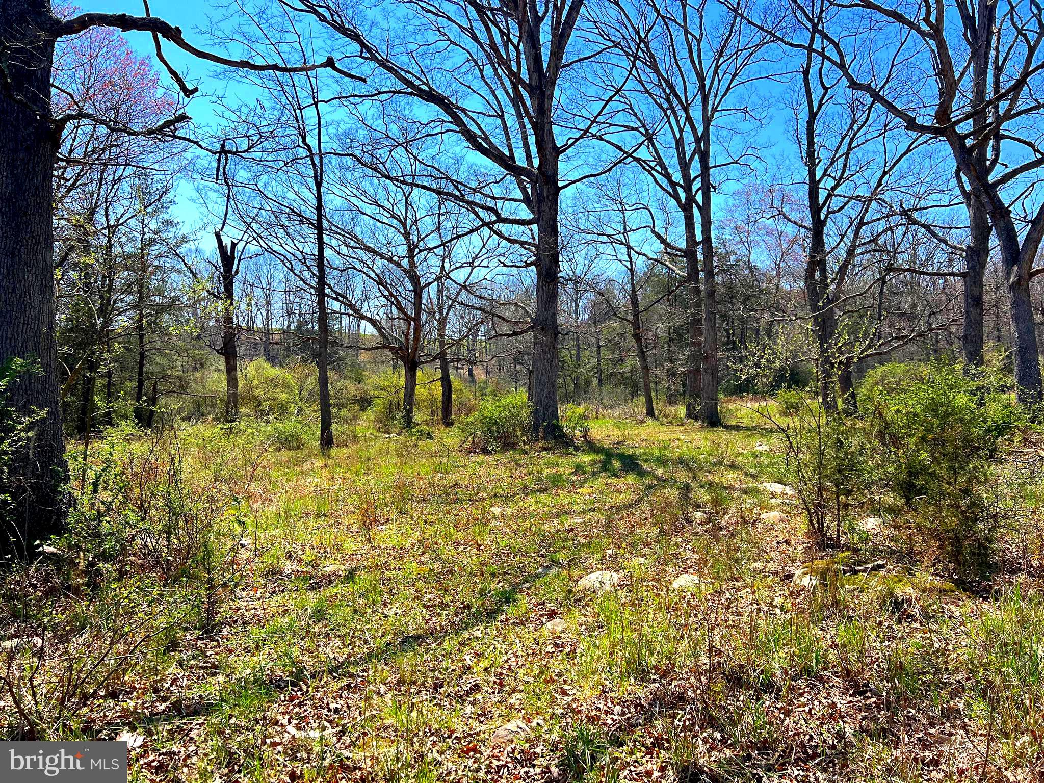 NONE UNRESTRICTED - Farm