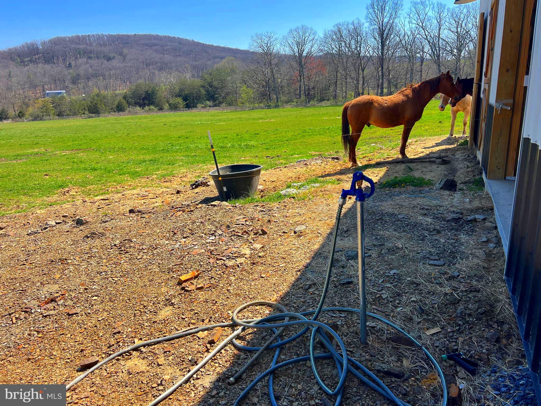 NONE UNRESTRICTED - Farm