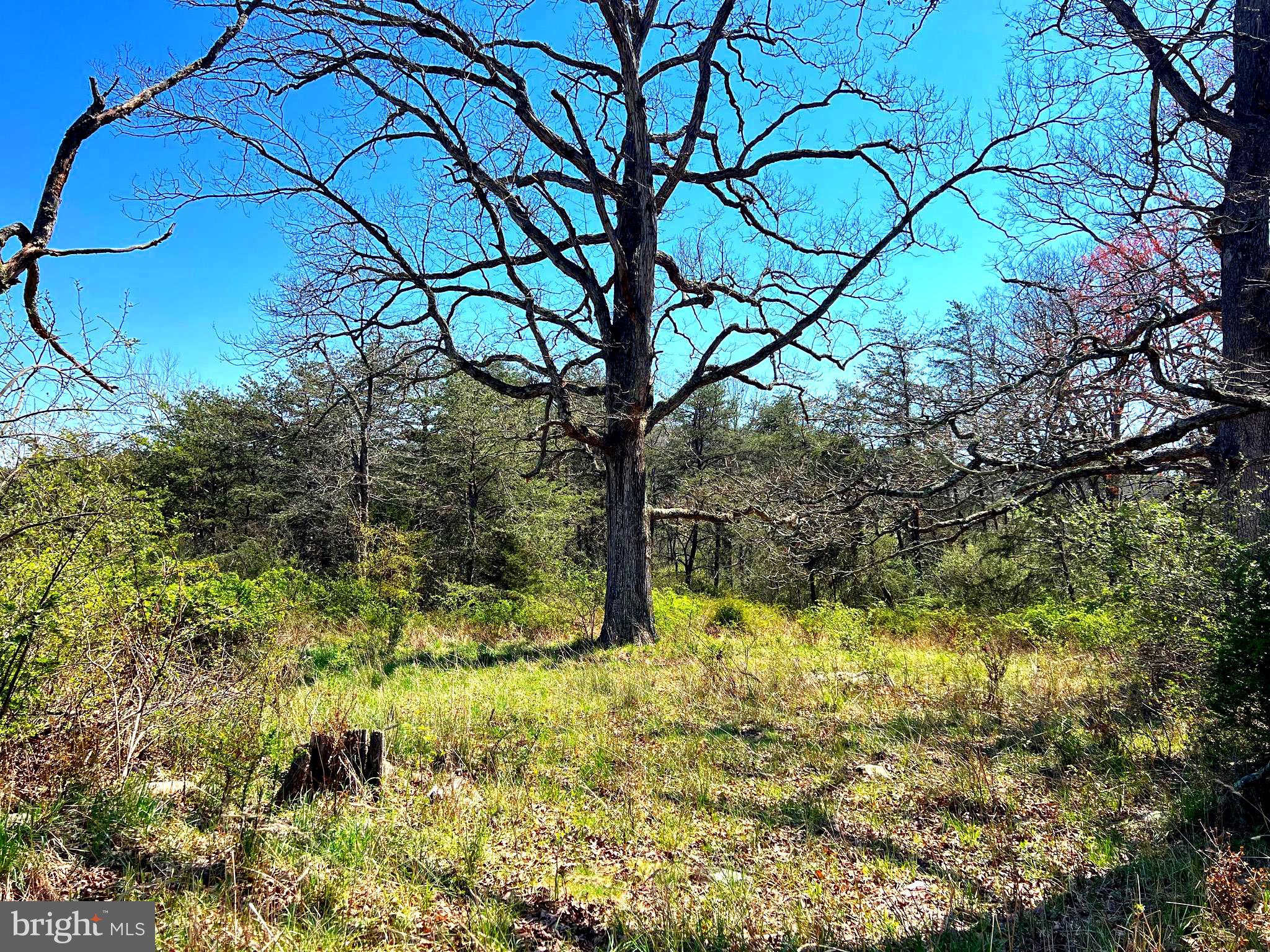 NONE UNRESTRICTED - Farm