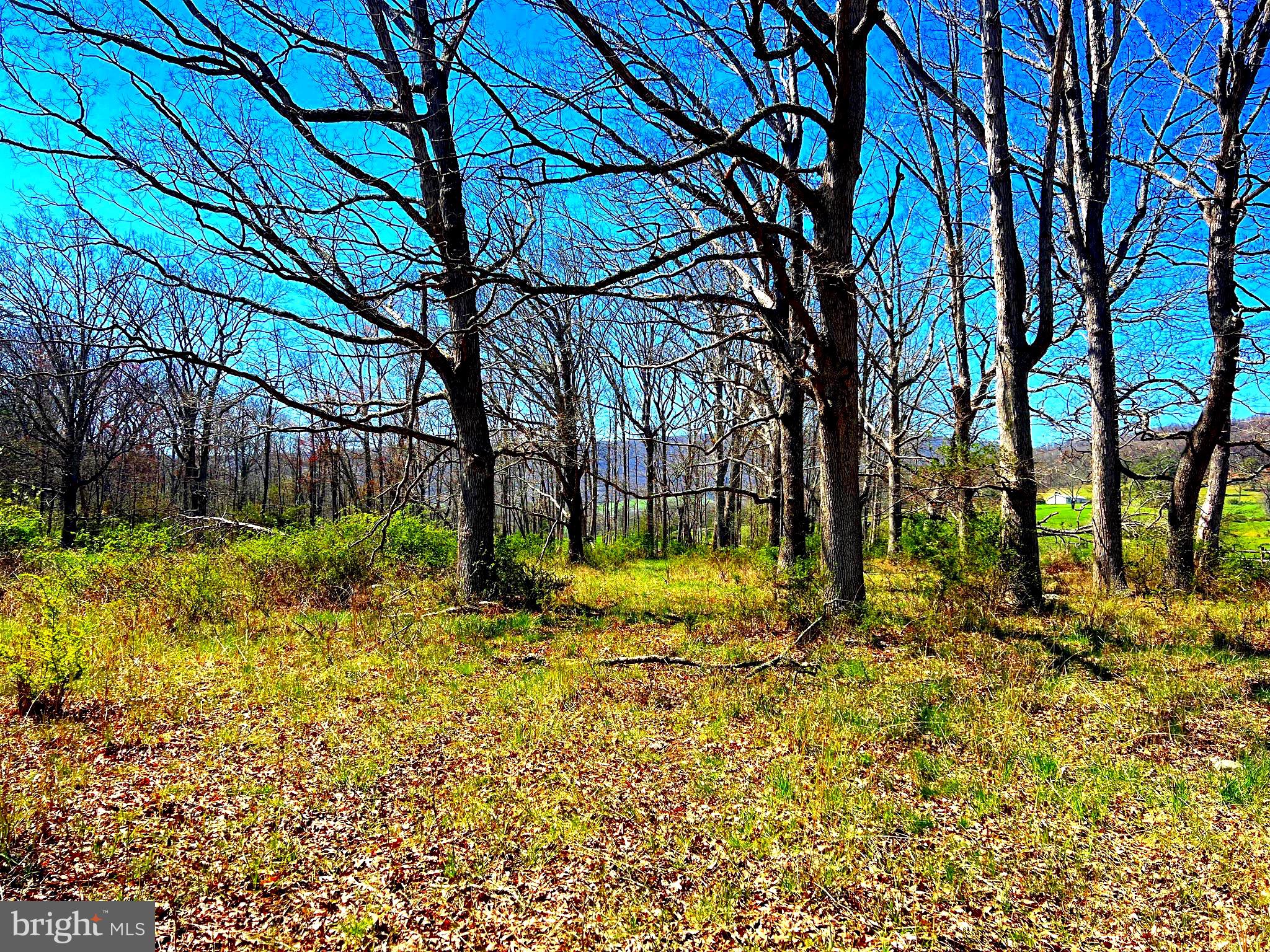 NONE UNRESTRICTED - Farm