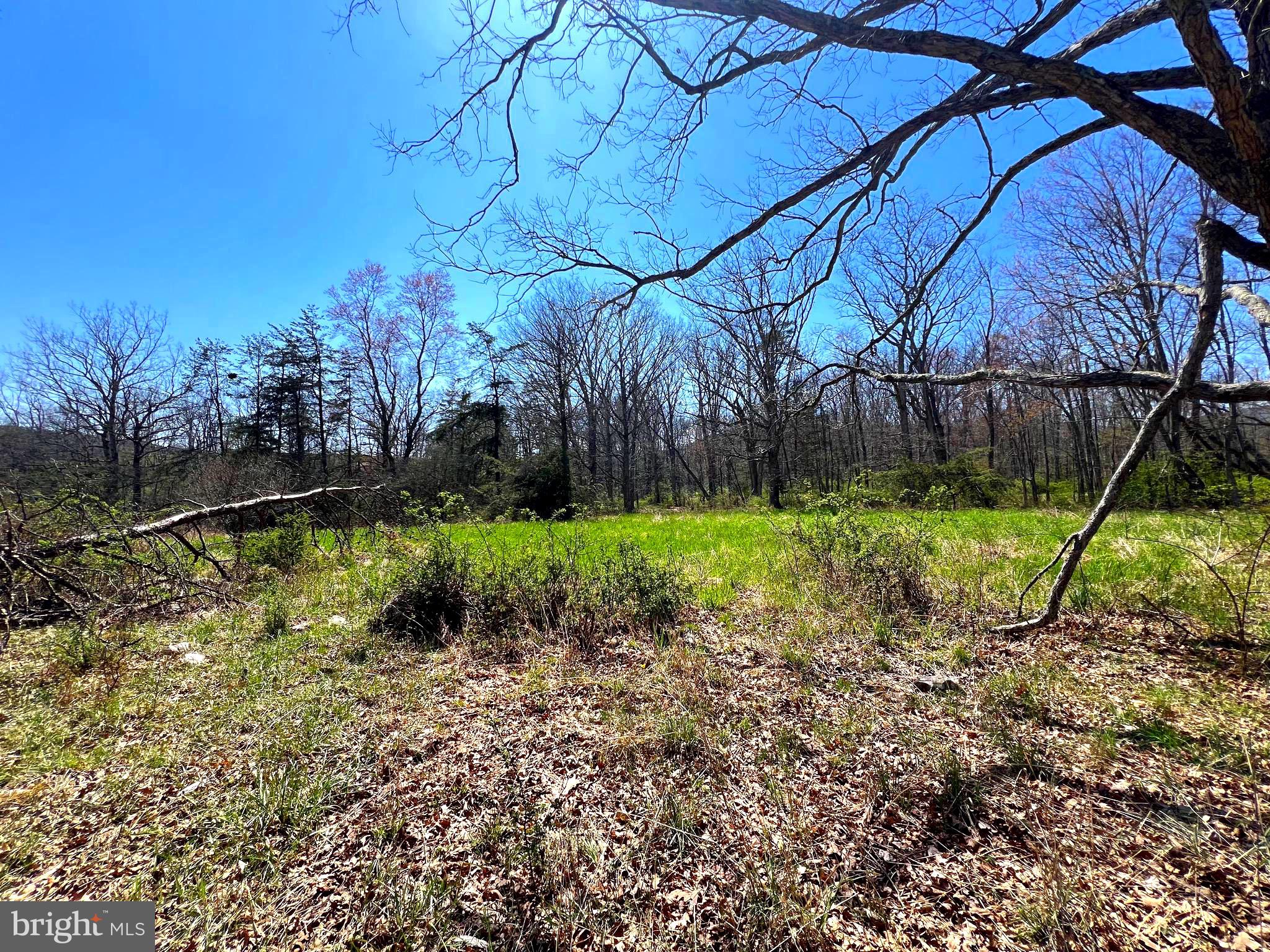 NONE UNRESTRICTED - Farm