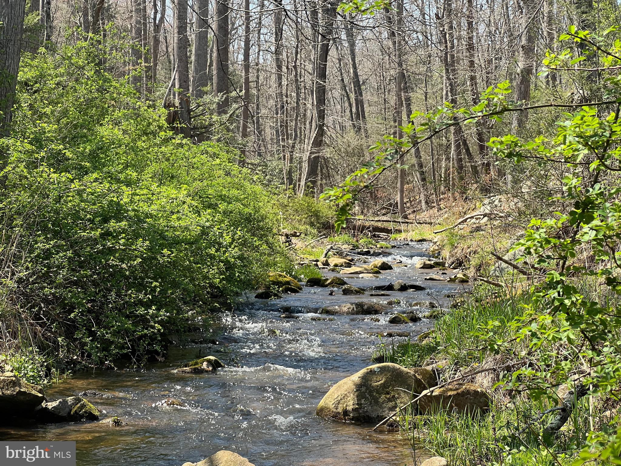 NONE UNRESTRICTED - Farm