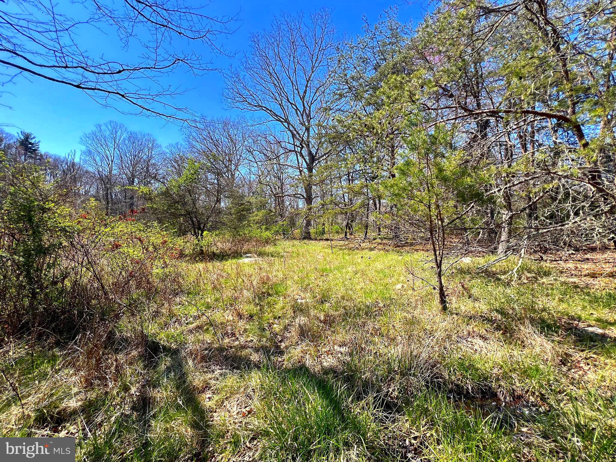 NONE UNRESTRICTED - Farm