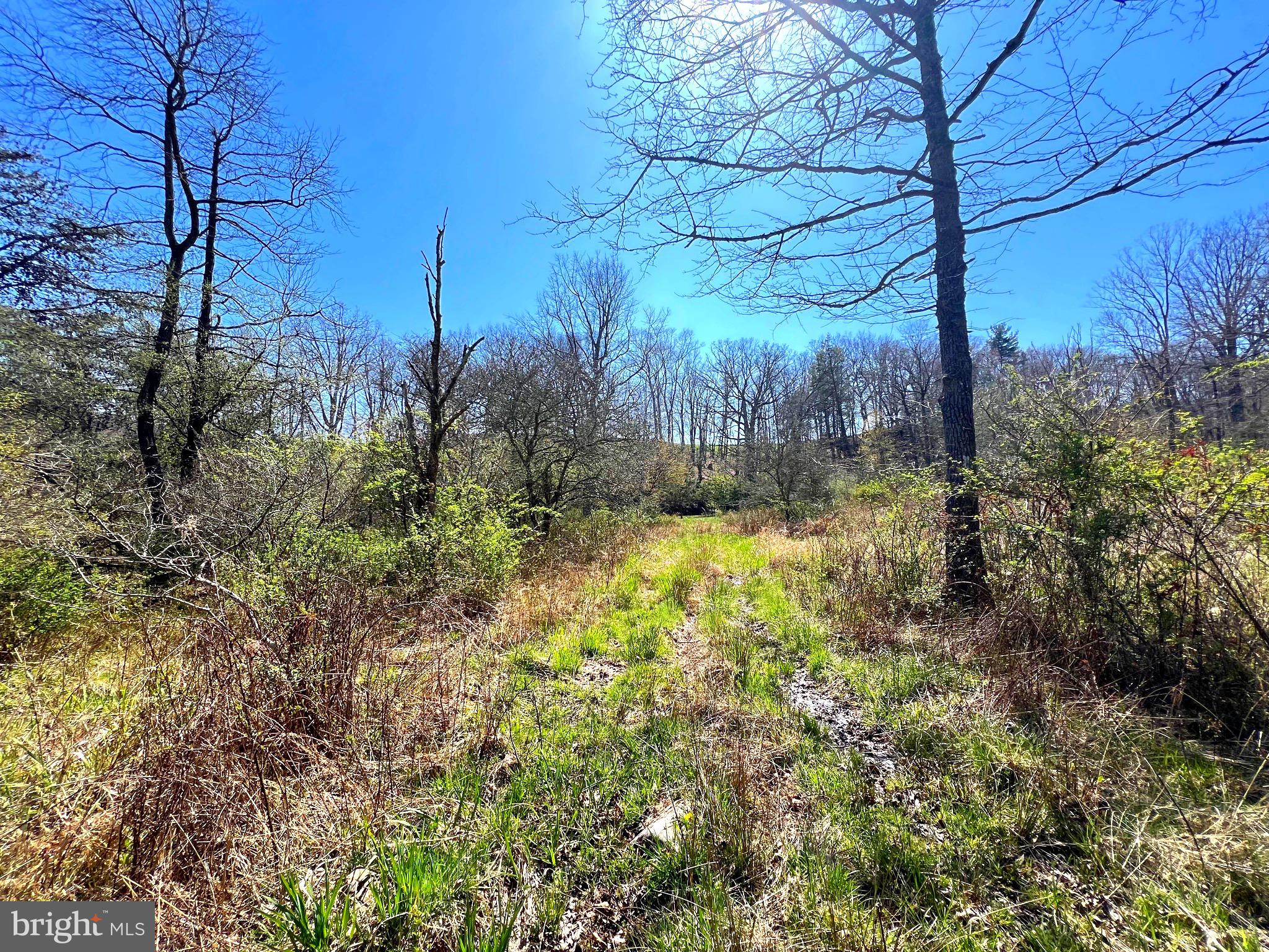 NONE UNRESTRICTED - Farm