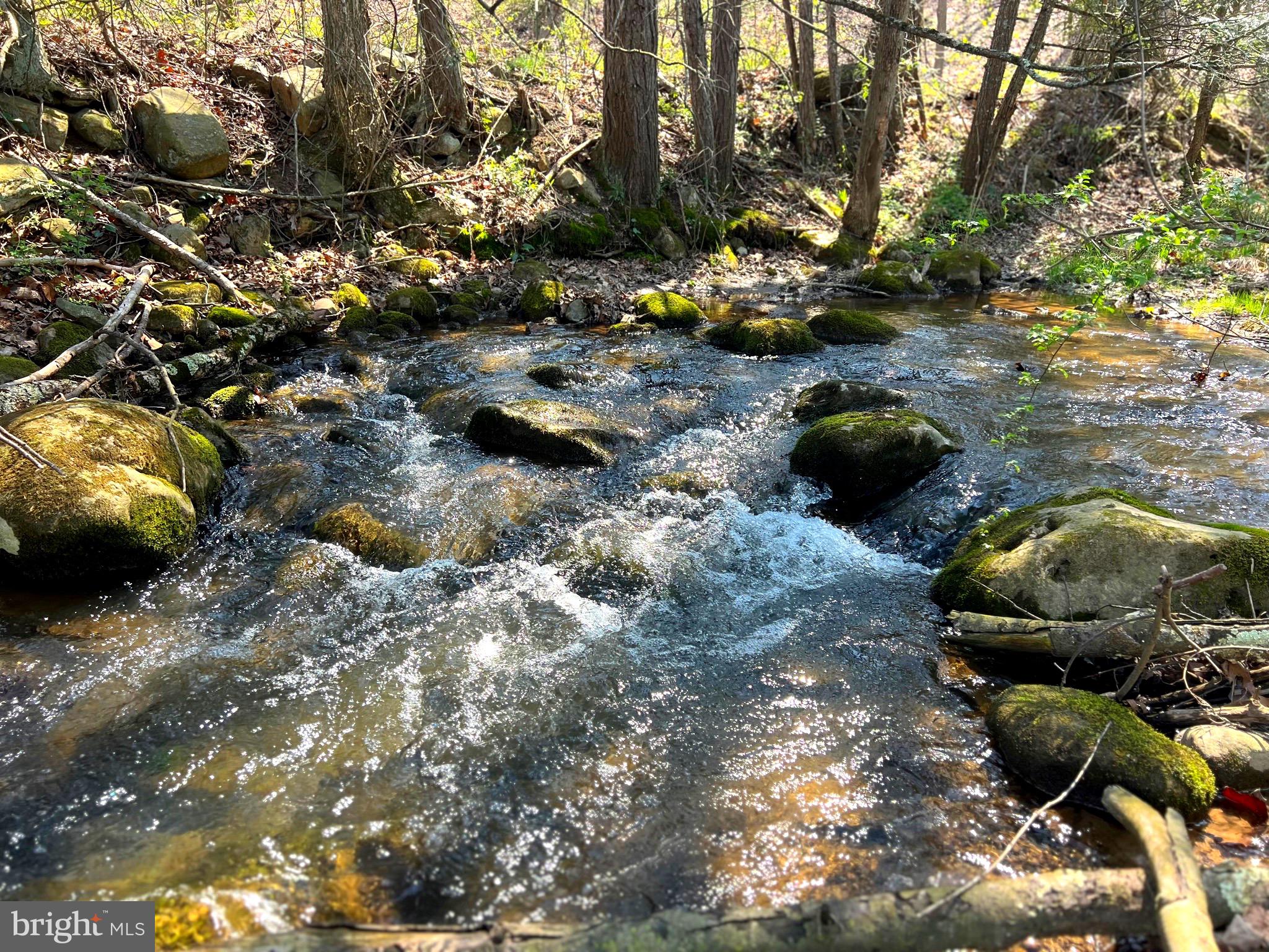 NONE UNRESTRICTED - Farm