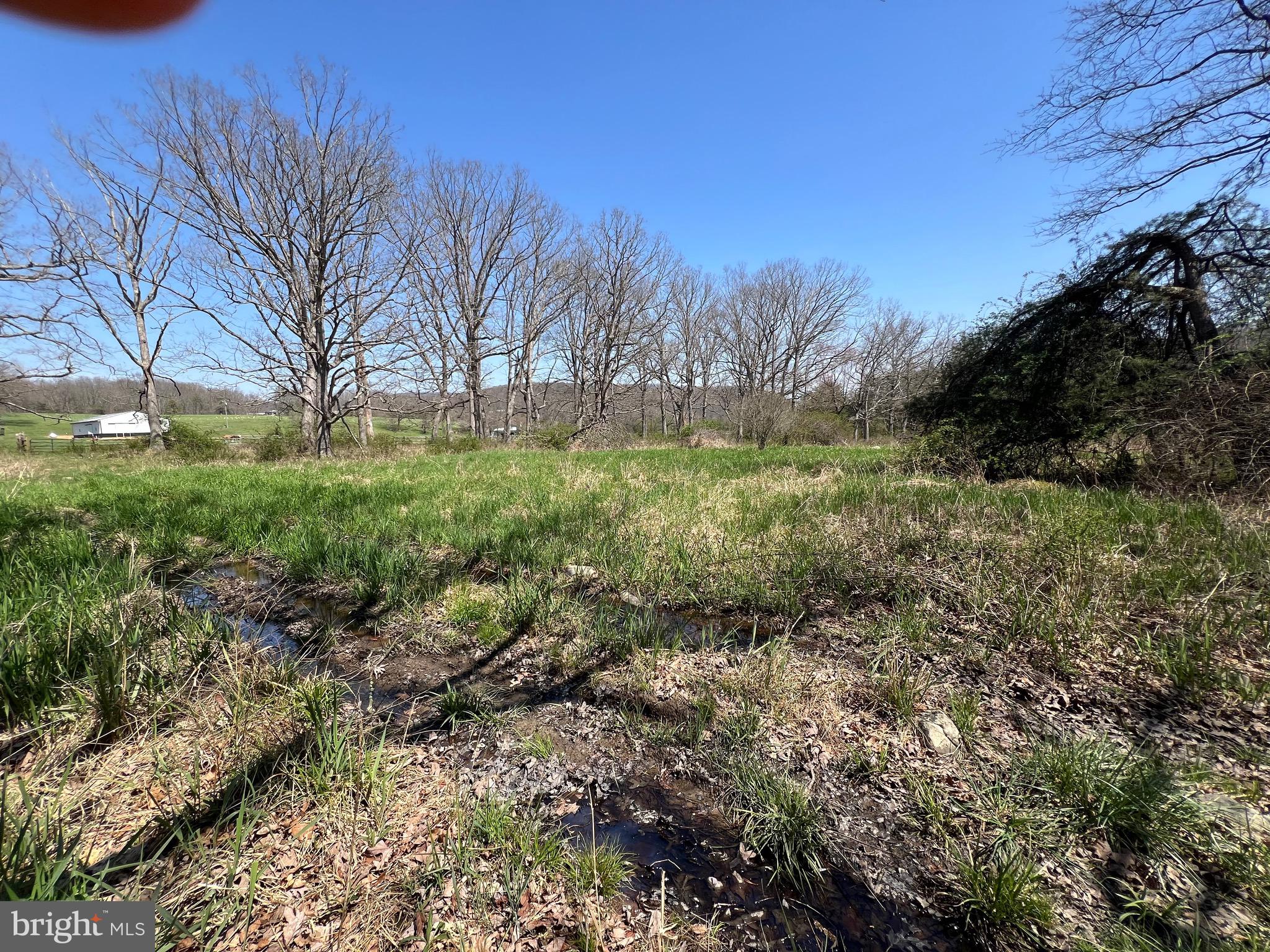 NONE UNRESTRICTED - Farm