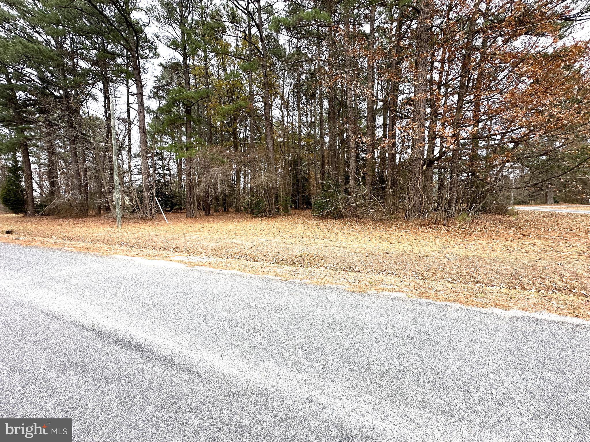 CABIN POINT / GLEBE HARBOR - Land