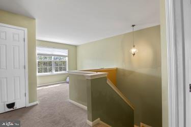 MEADOWS OF CULPEPER - Residential