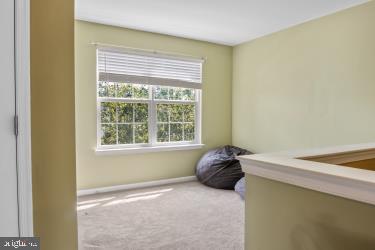 MEADOWS OF CULPEPER - Residential