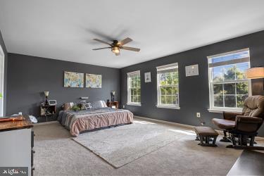 MEADOWS OF CULPEPER - Residential