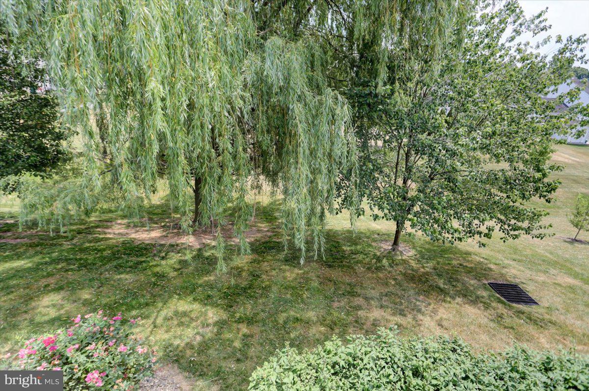 SPRING RUN - Residential