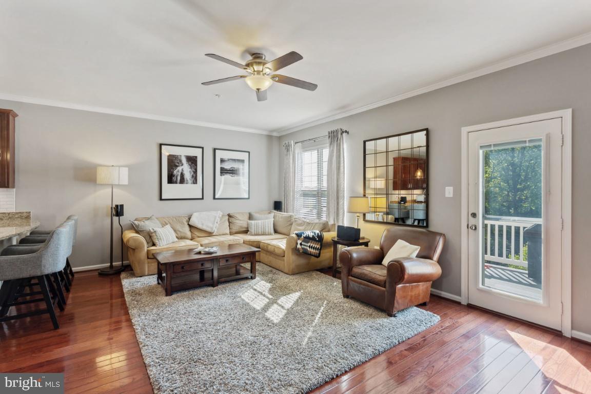 POINTE AT ARUNDEL PRESERVES - Residential