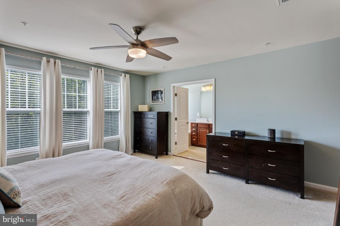 POINTE AT ARUNDEL PRESERVES - Residential