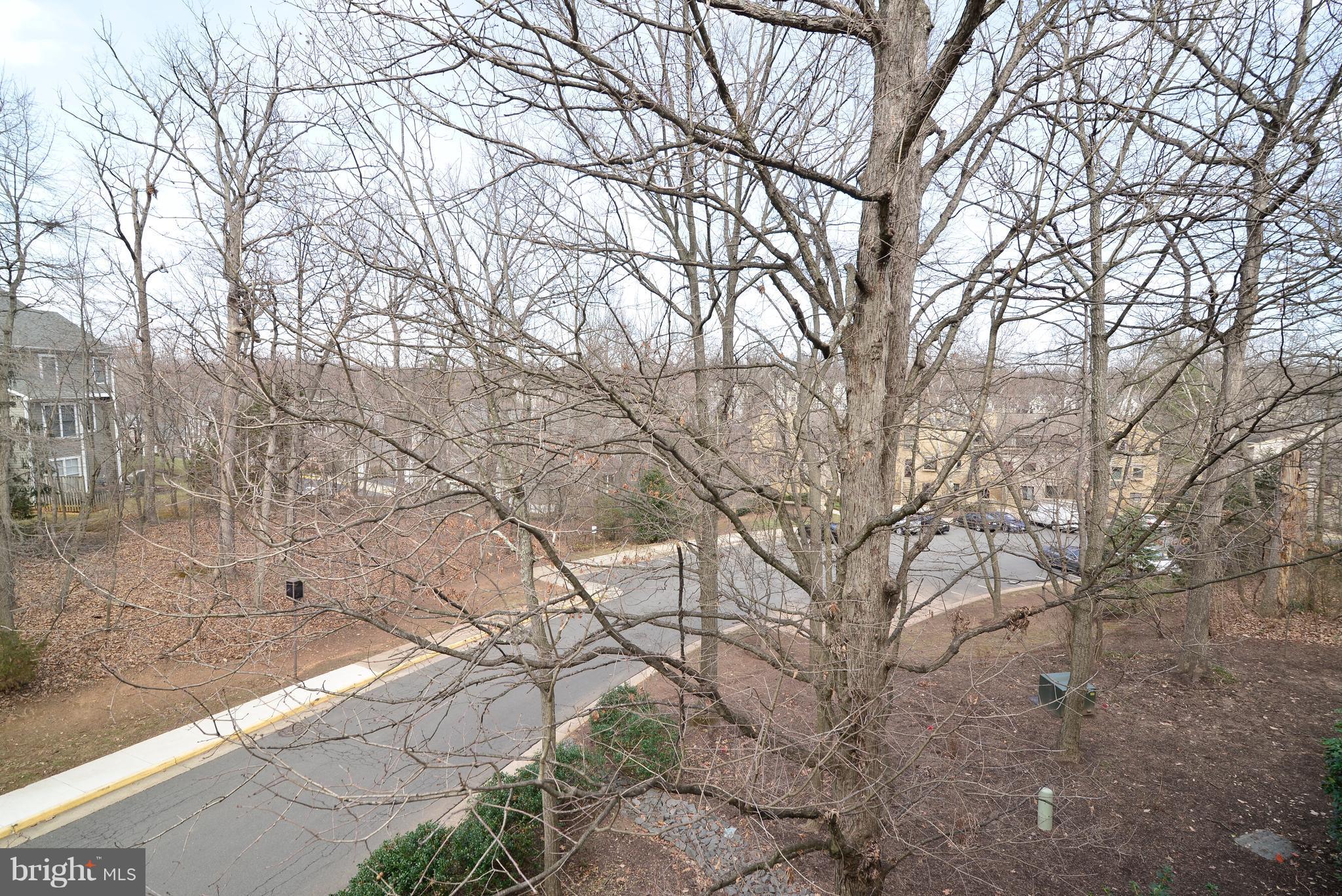 DOCKSIDE - Residential