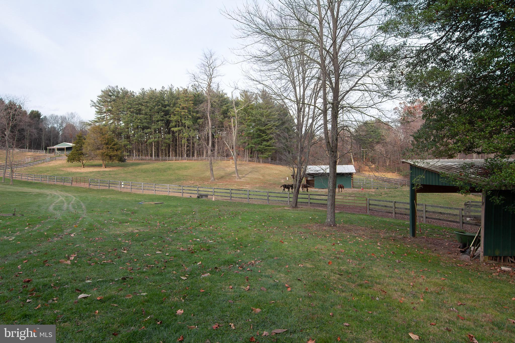 NONE AVAILABLE - Farm