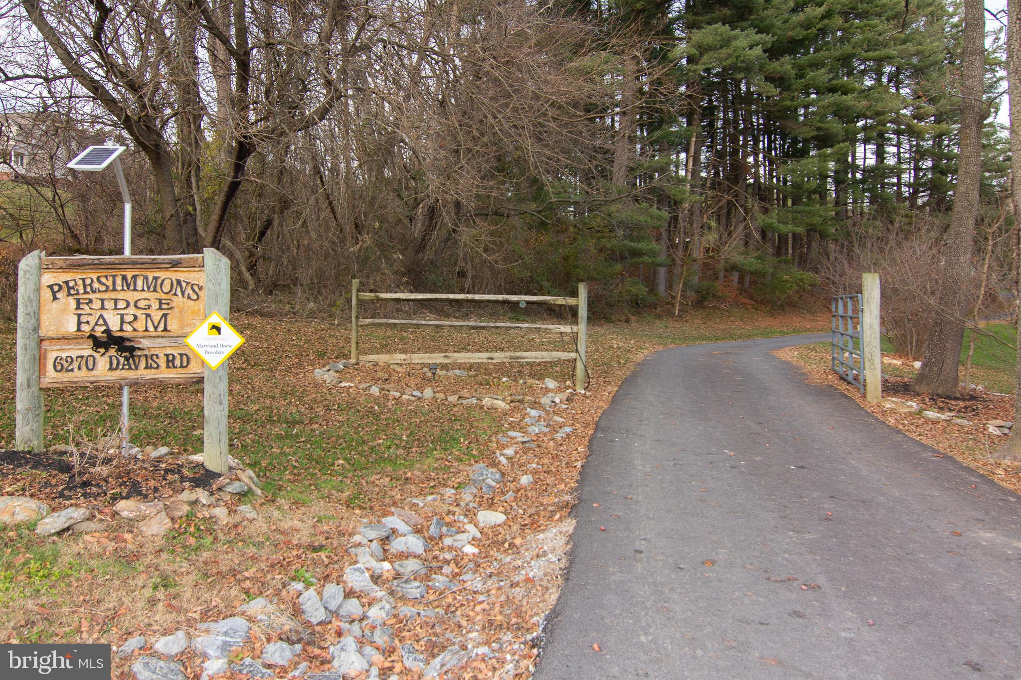 NONE AVAILABLE - Farm