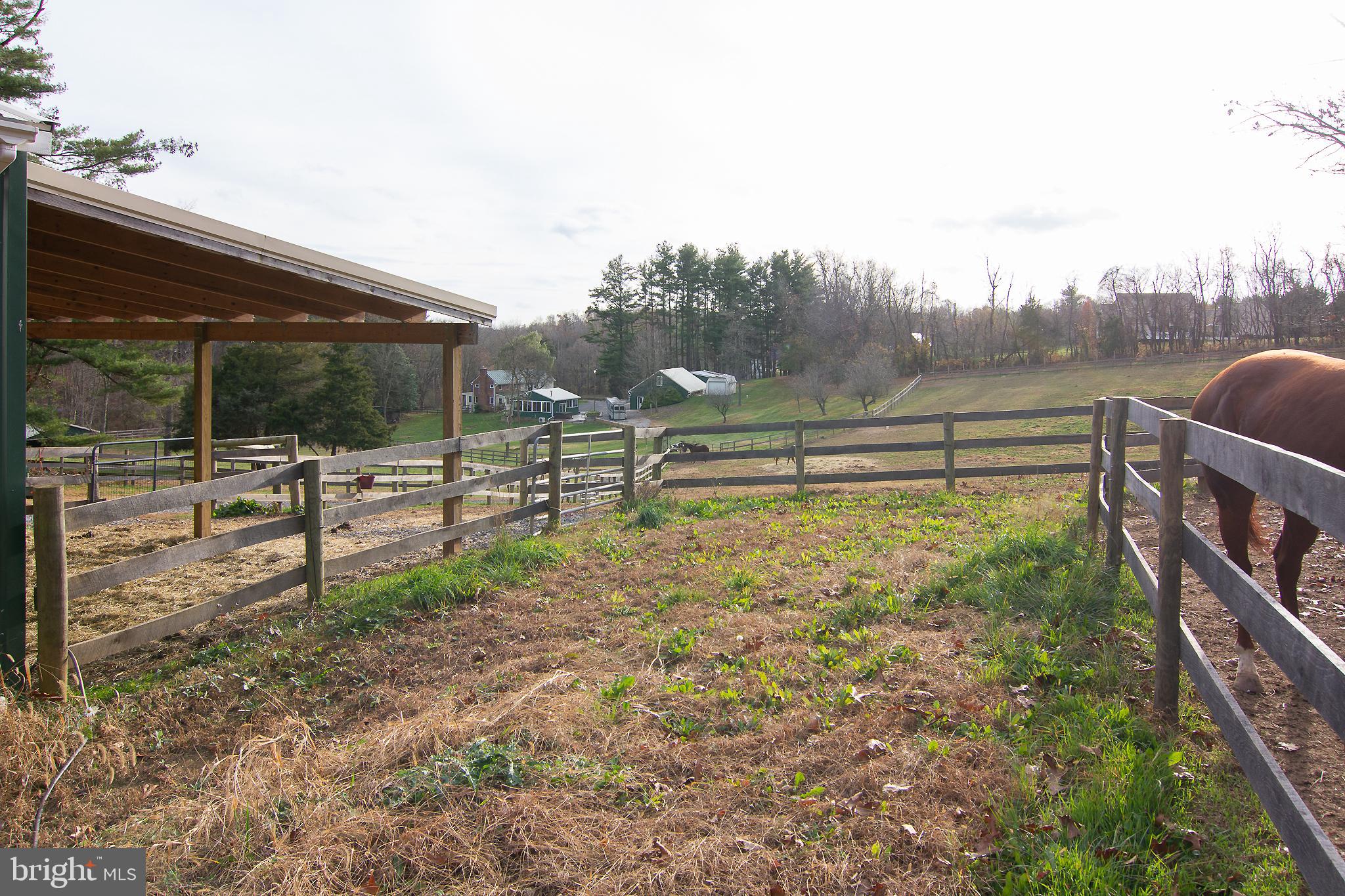 NONE AVAILABLE - Farm