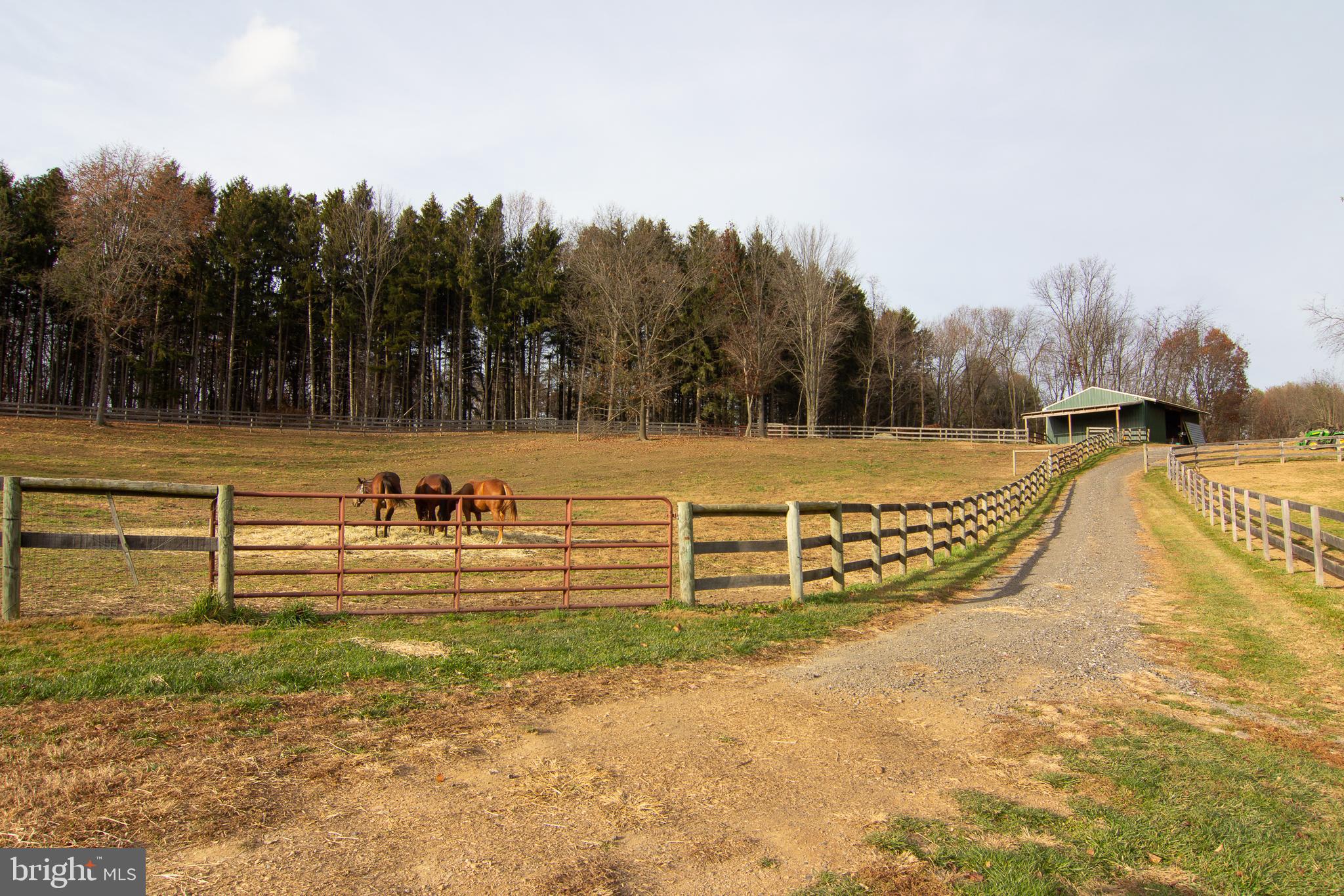 NONE AVAILABLE - Farm