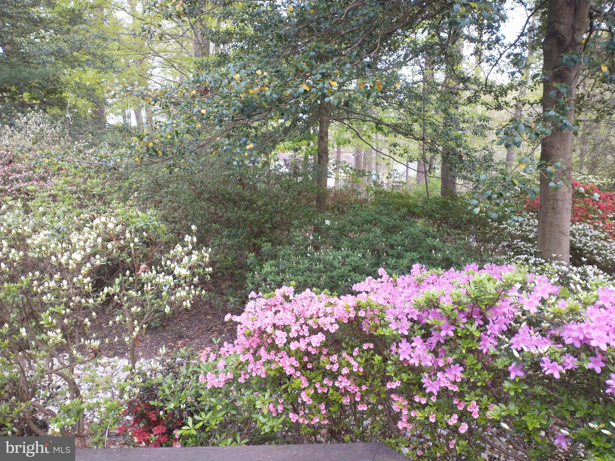 CHAPEL SQUARE - Residential