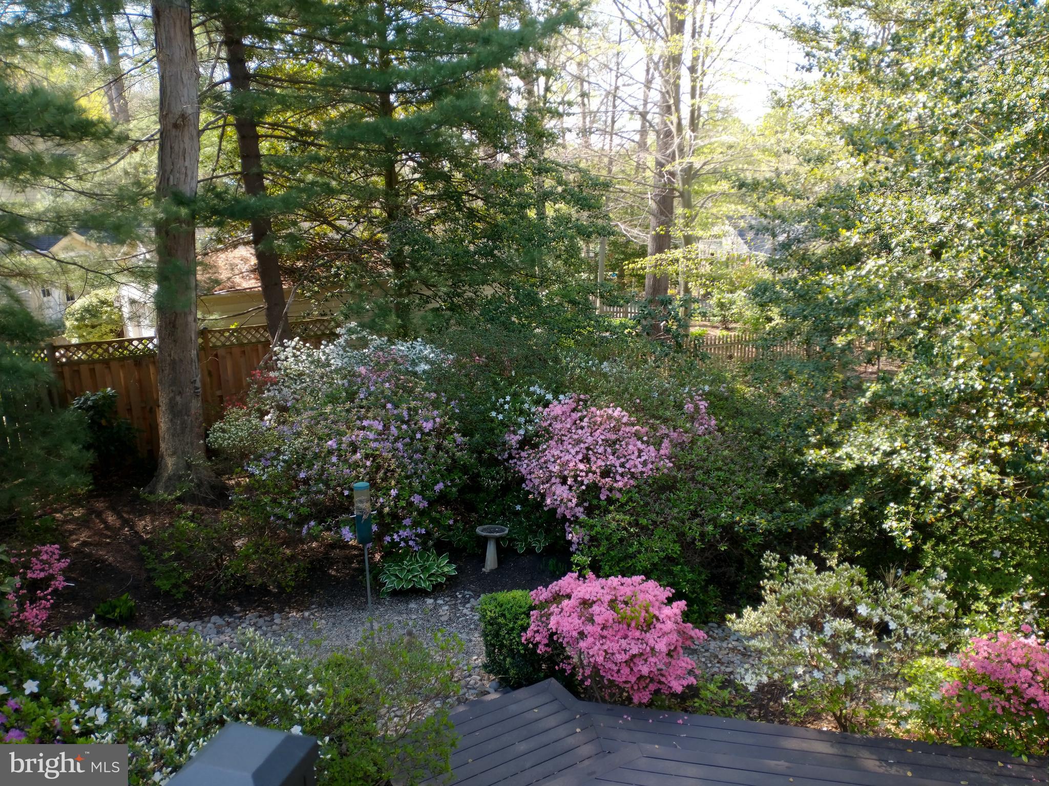 CHAPEL SQUARE - Residential