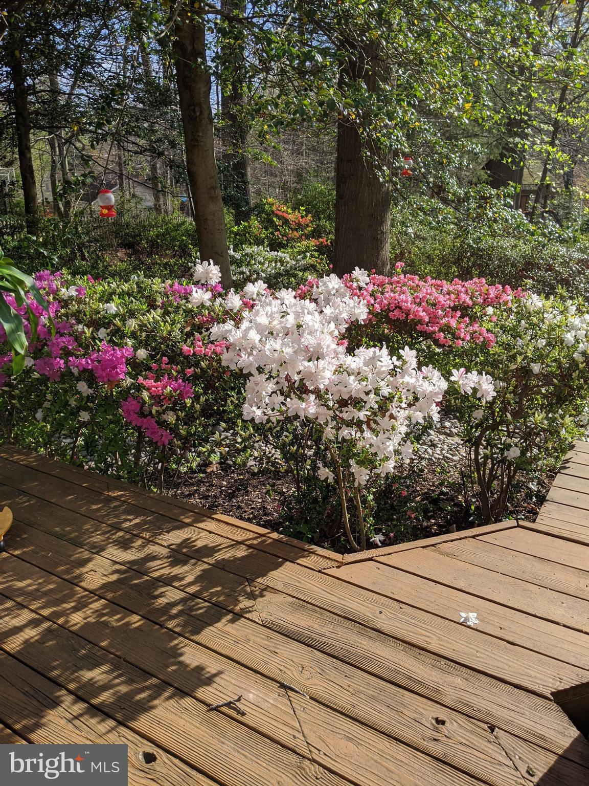 CHAPEL SQUARE - Residential