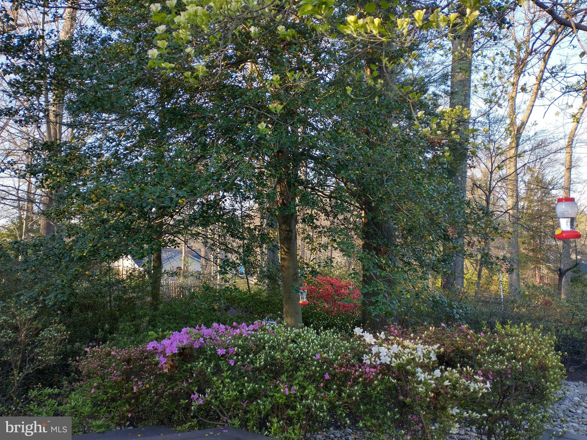 CHAPEL SQUARE - Residential