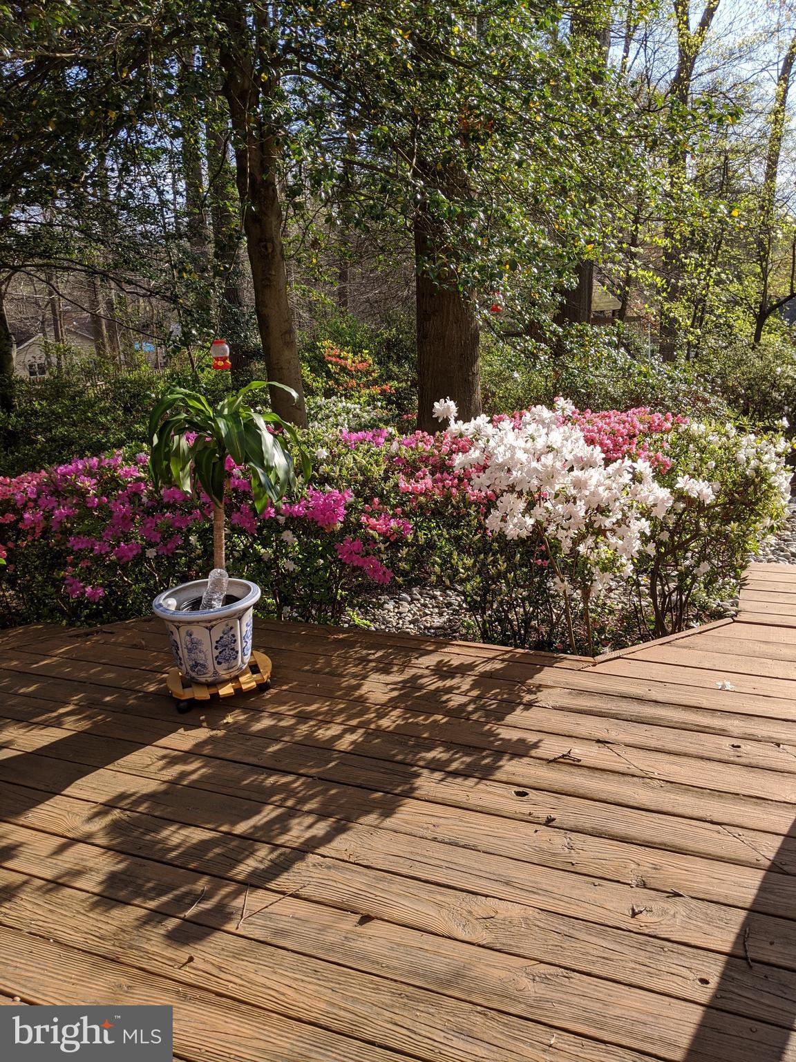 CHAPEL SQUARE - Residential