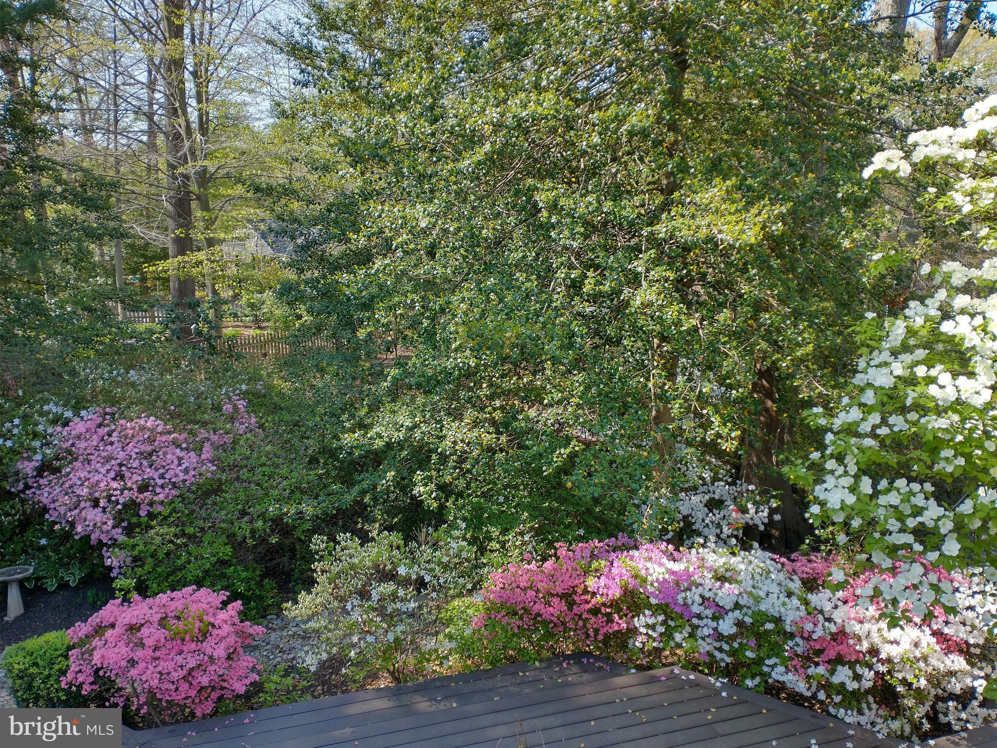 CHAPEL SQUARE - Residential