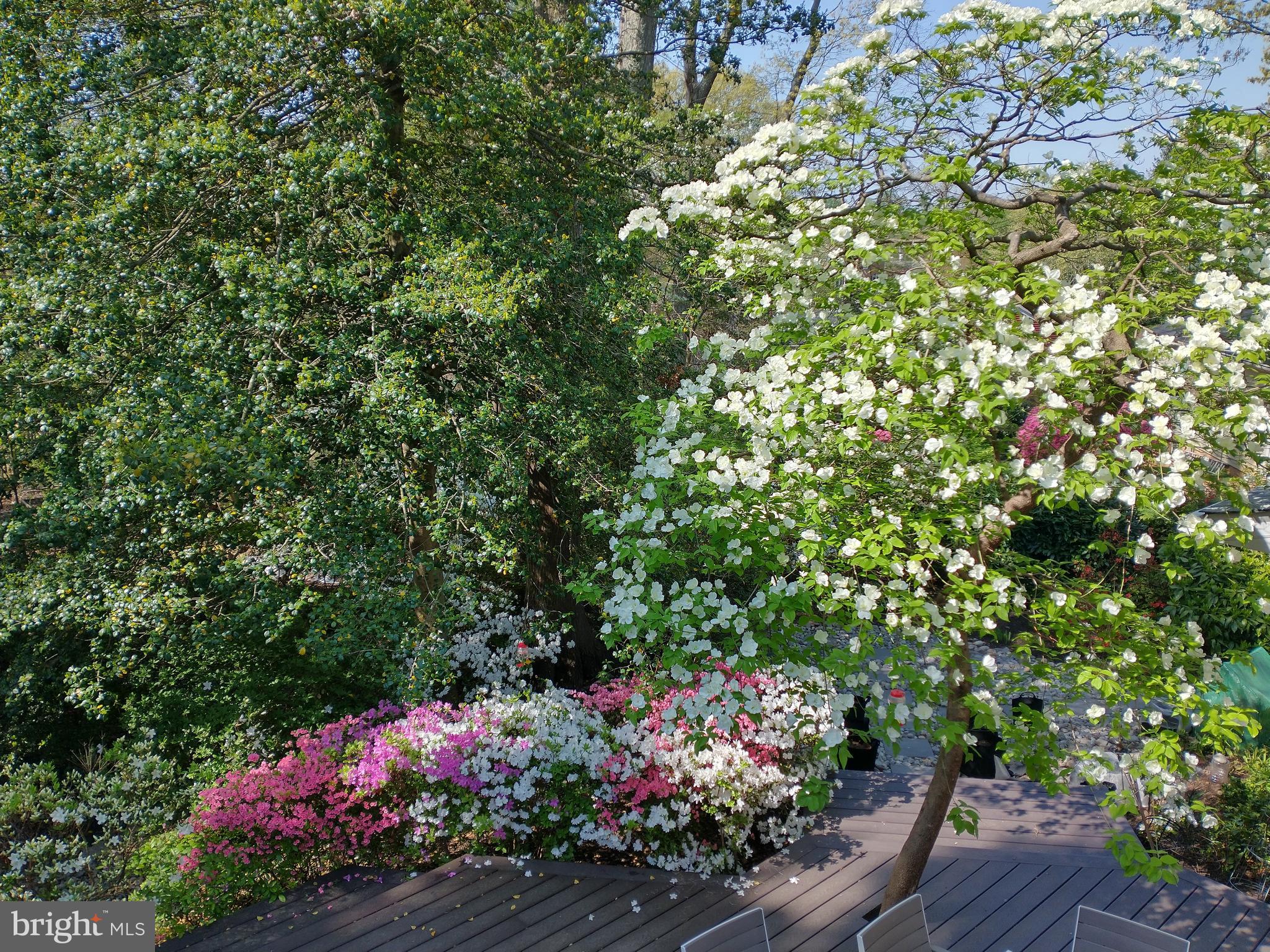 CHAPEL SQUARE - Residential