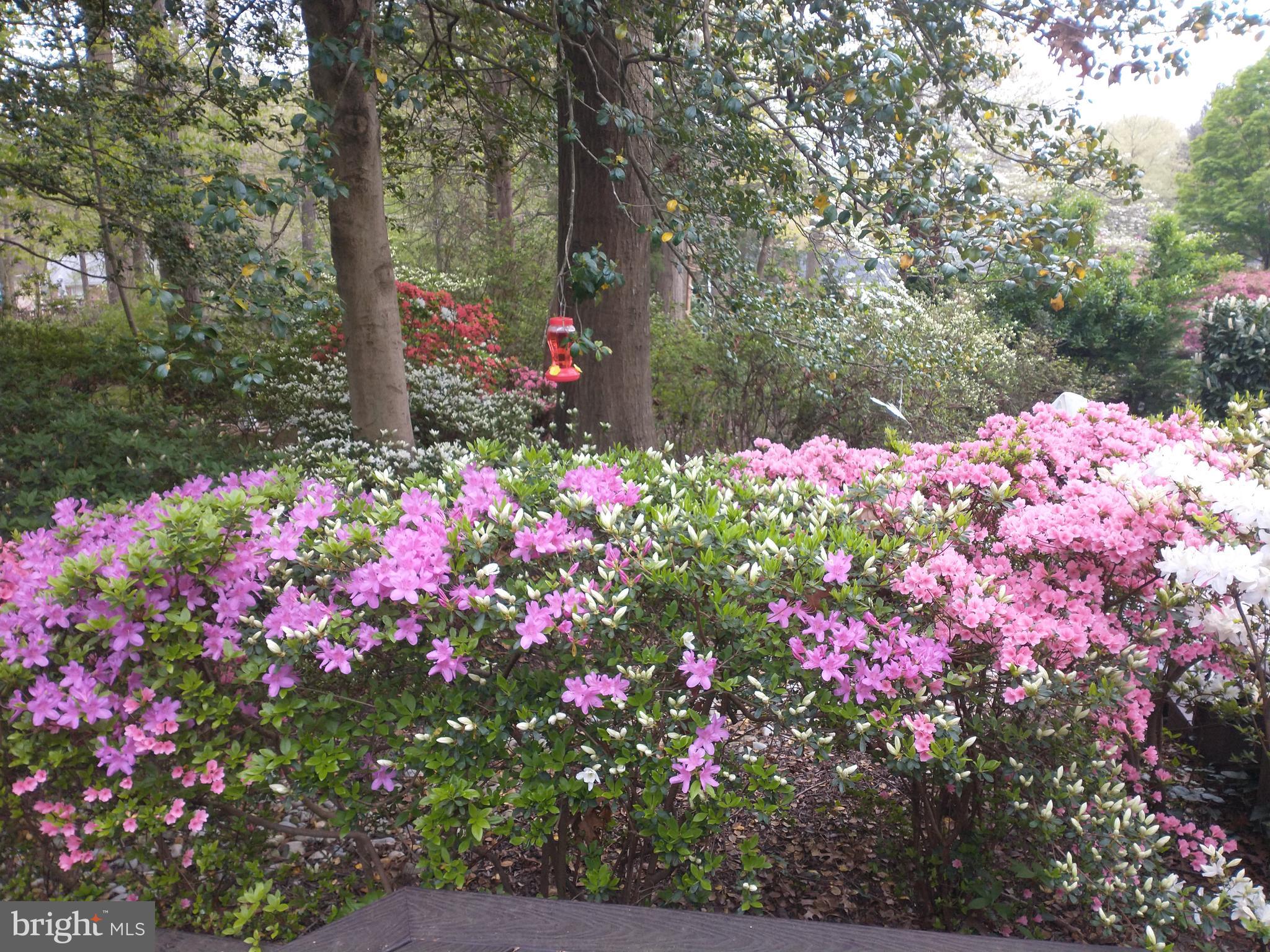 CHAPEL SQUARE - Residential