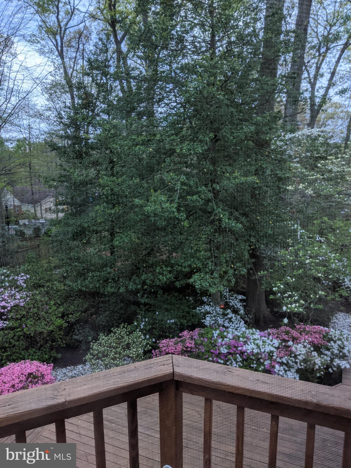 CHAPEL SQUARE - Residential