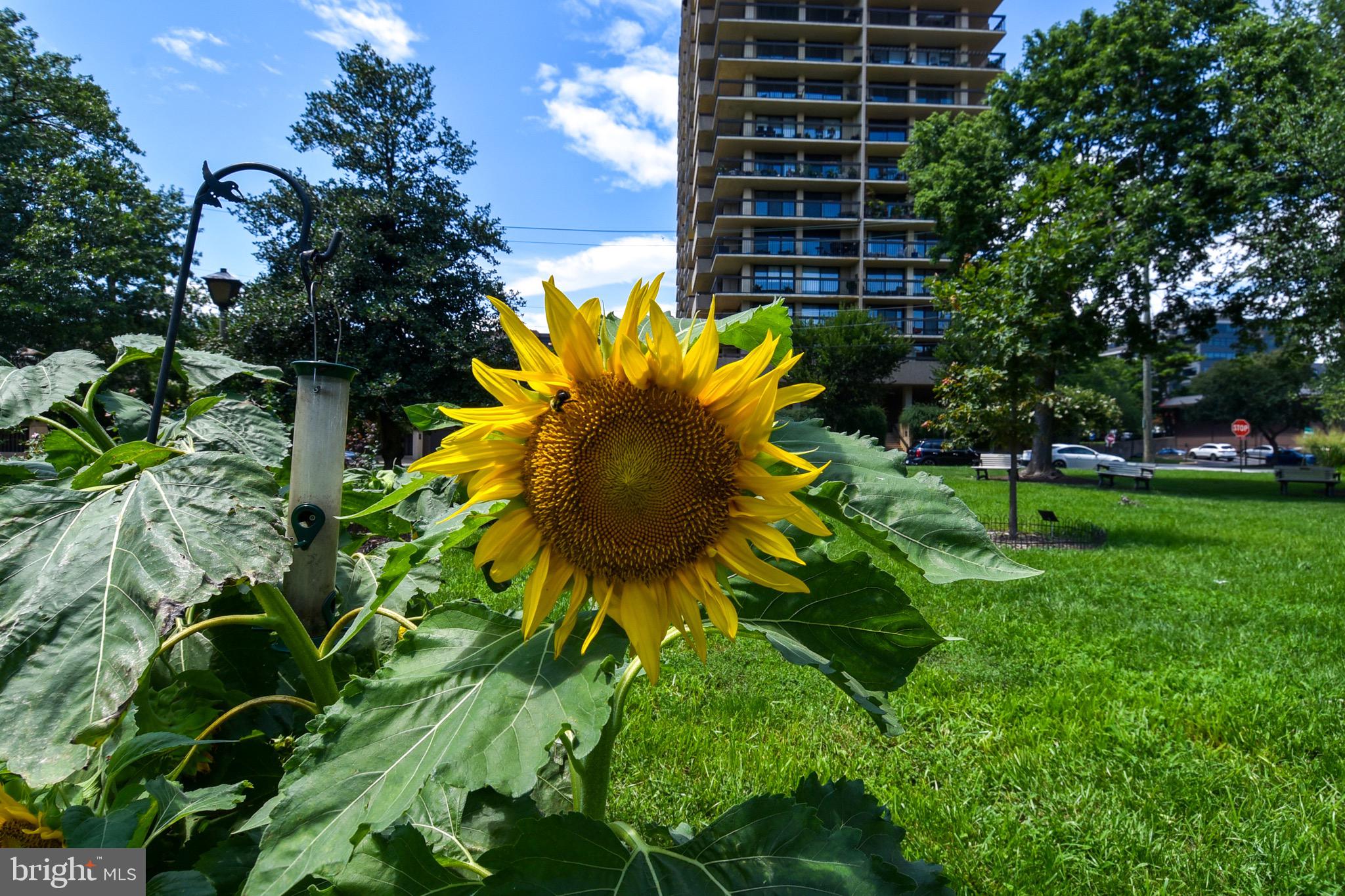 ALEXANDRIA HOUSE - Residential