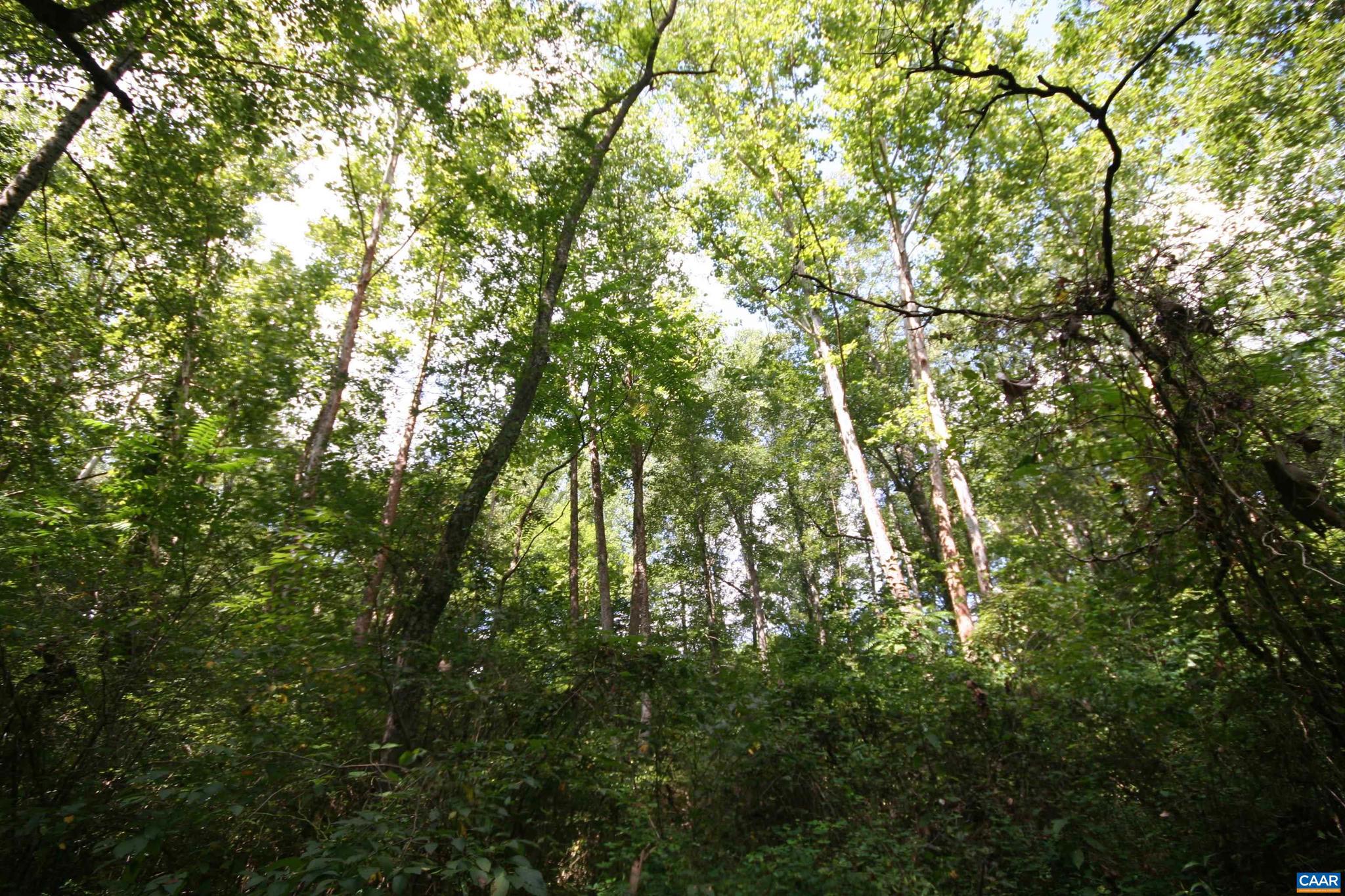 NONE AVAILABLE - Land